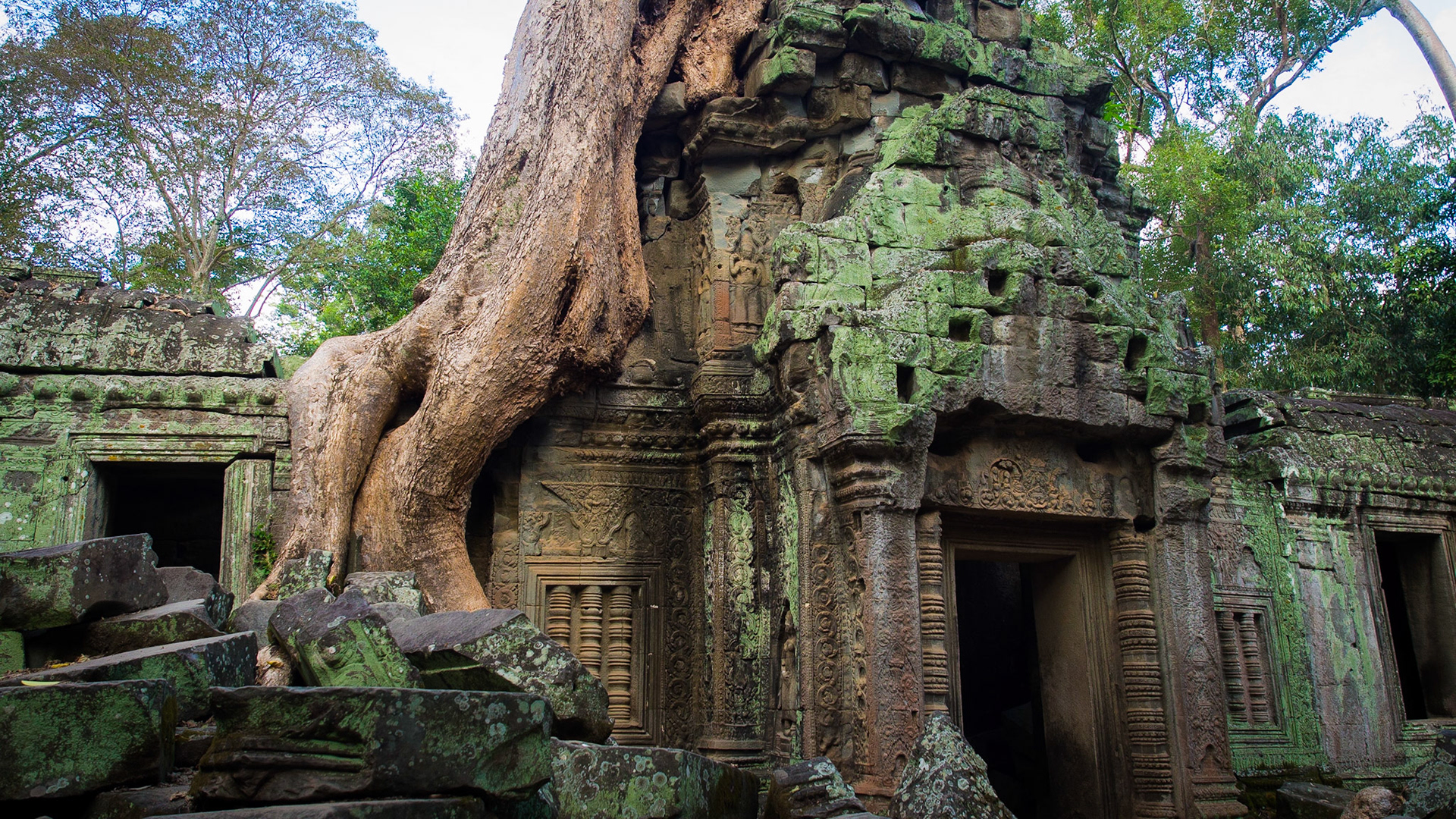 Ta Prohm - Angkor, Cambodia