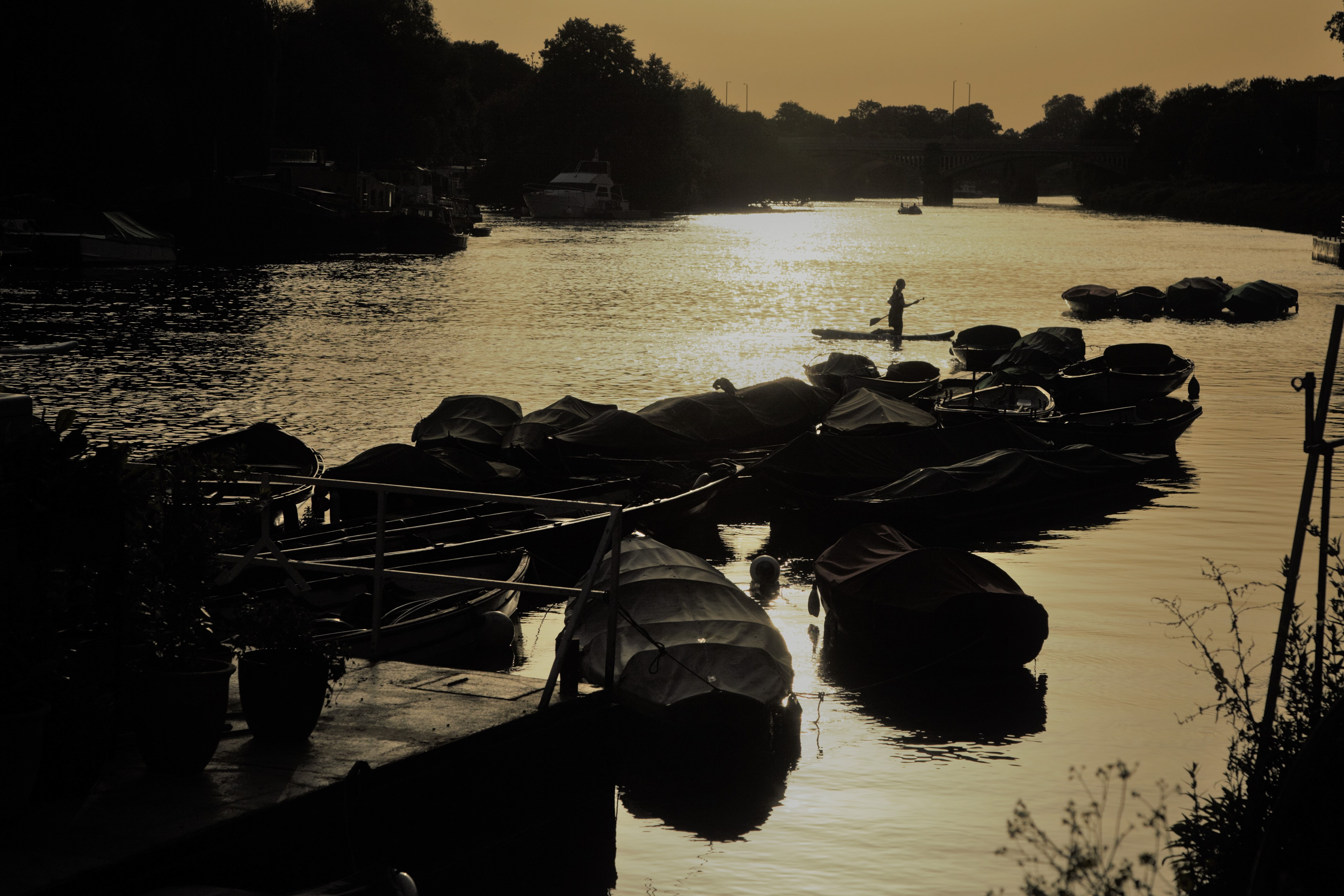 River Thames by Richmond