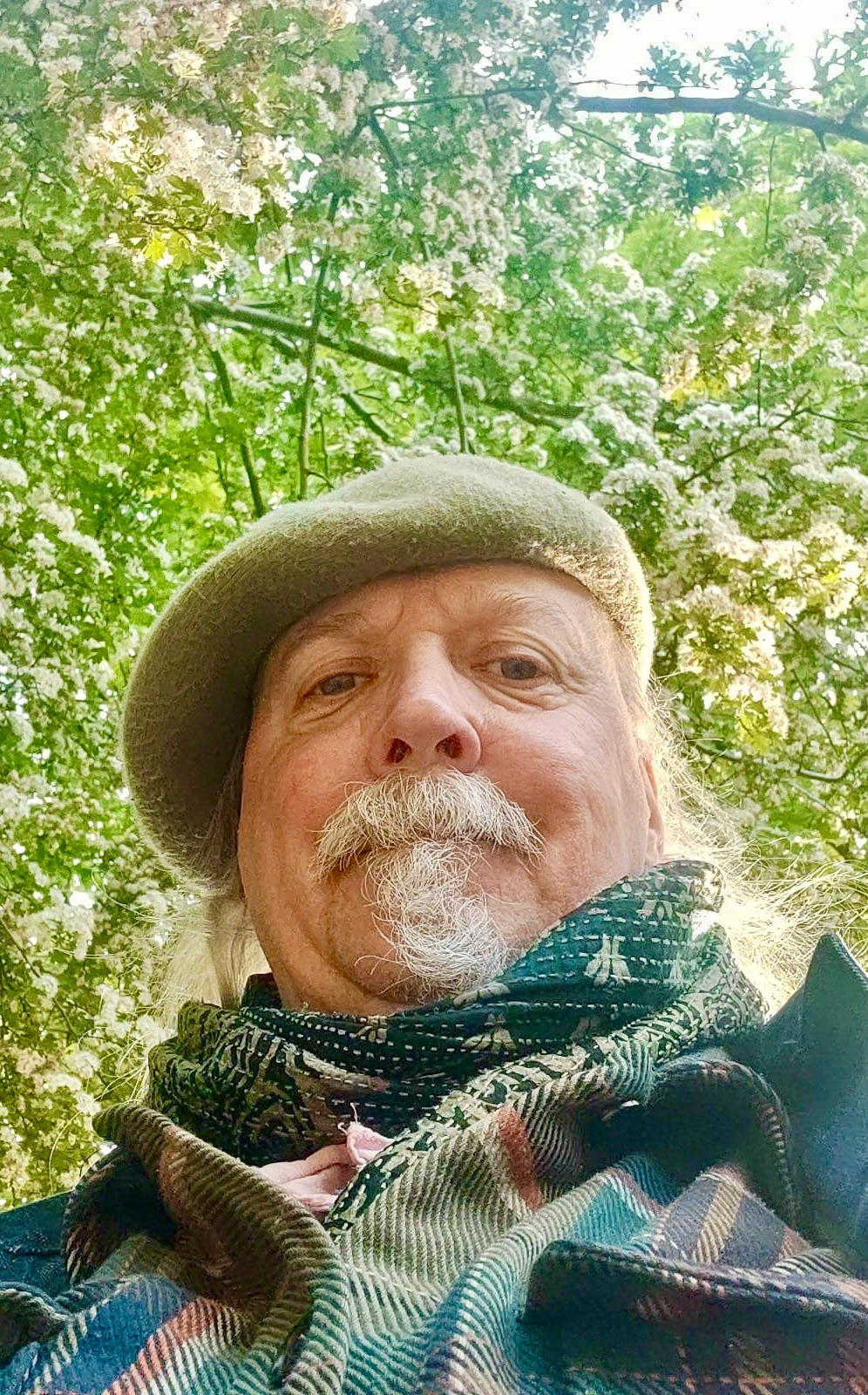 Dan Belton