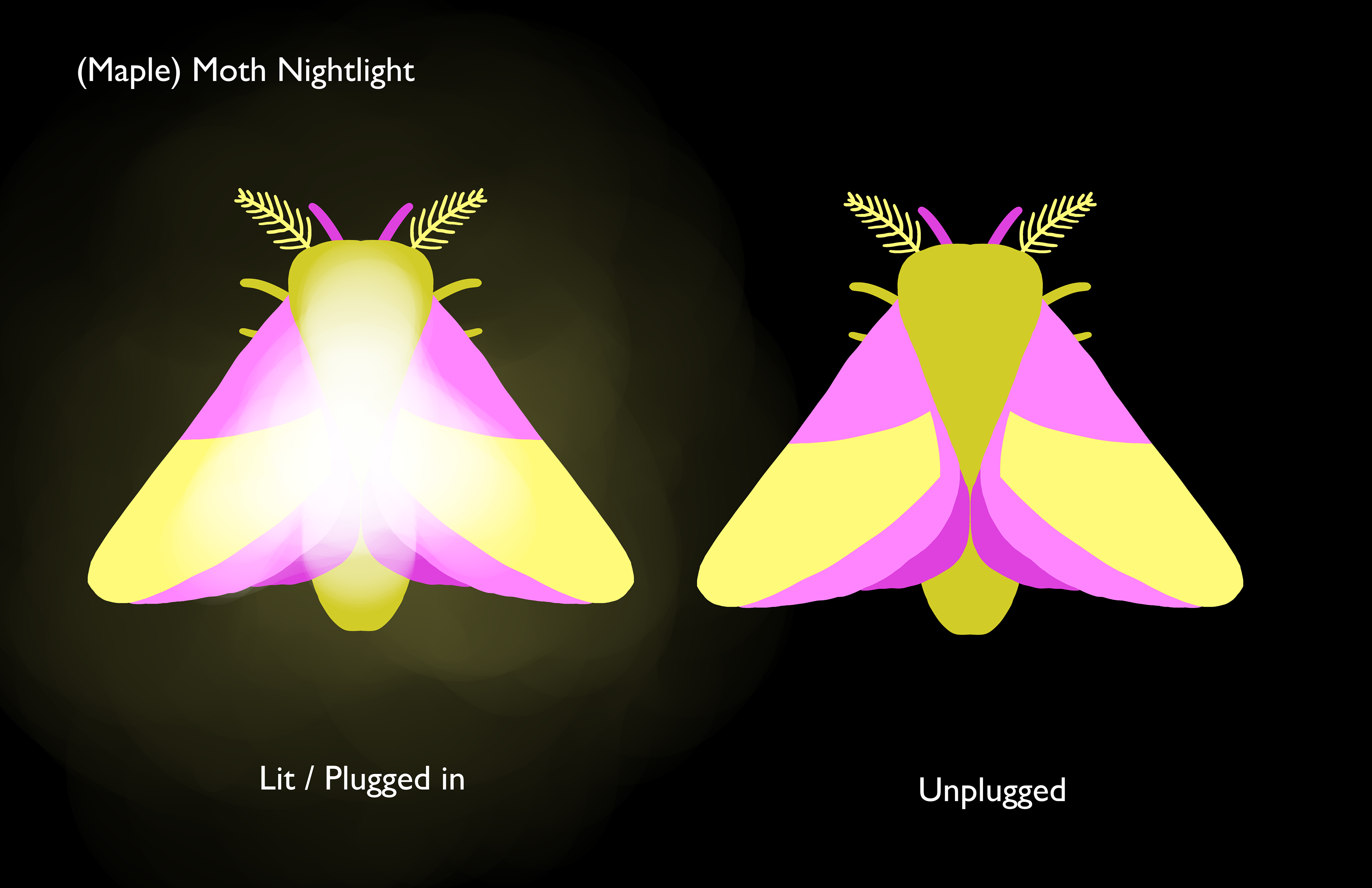 Merchandise to go with the book. 