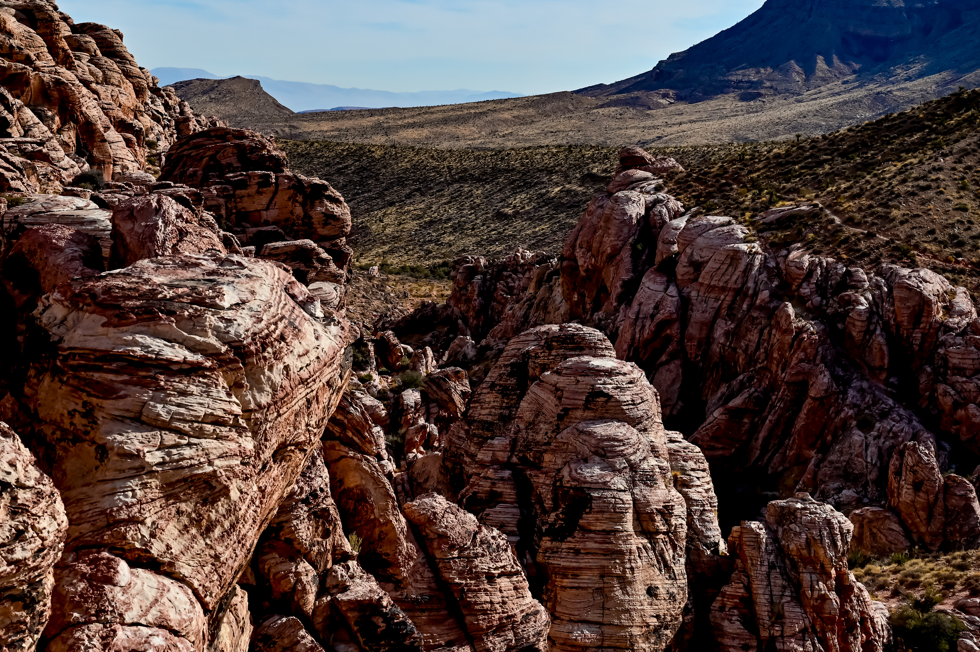 Red Rock Canyon
