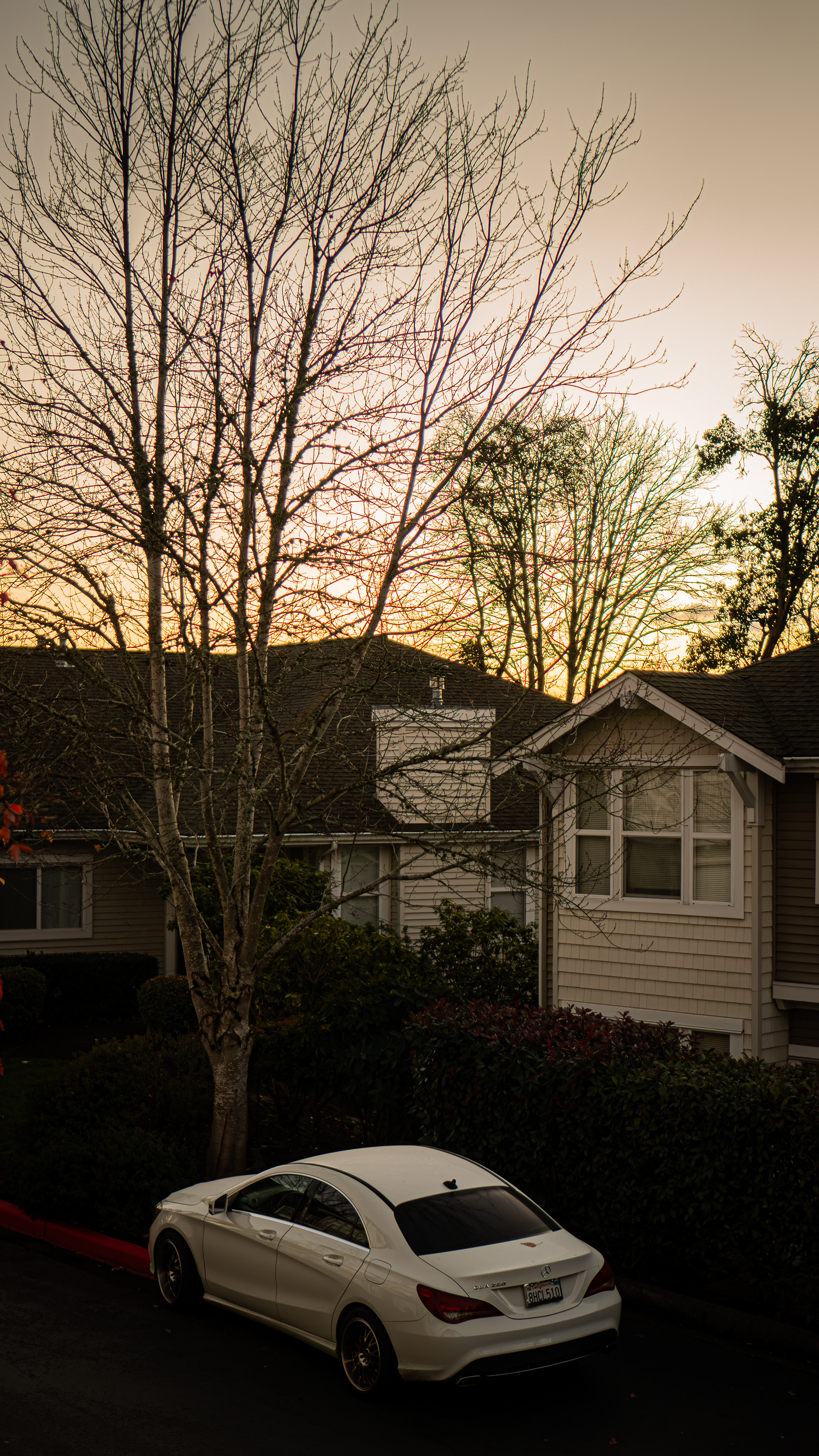Home in Seattle