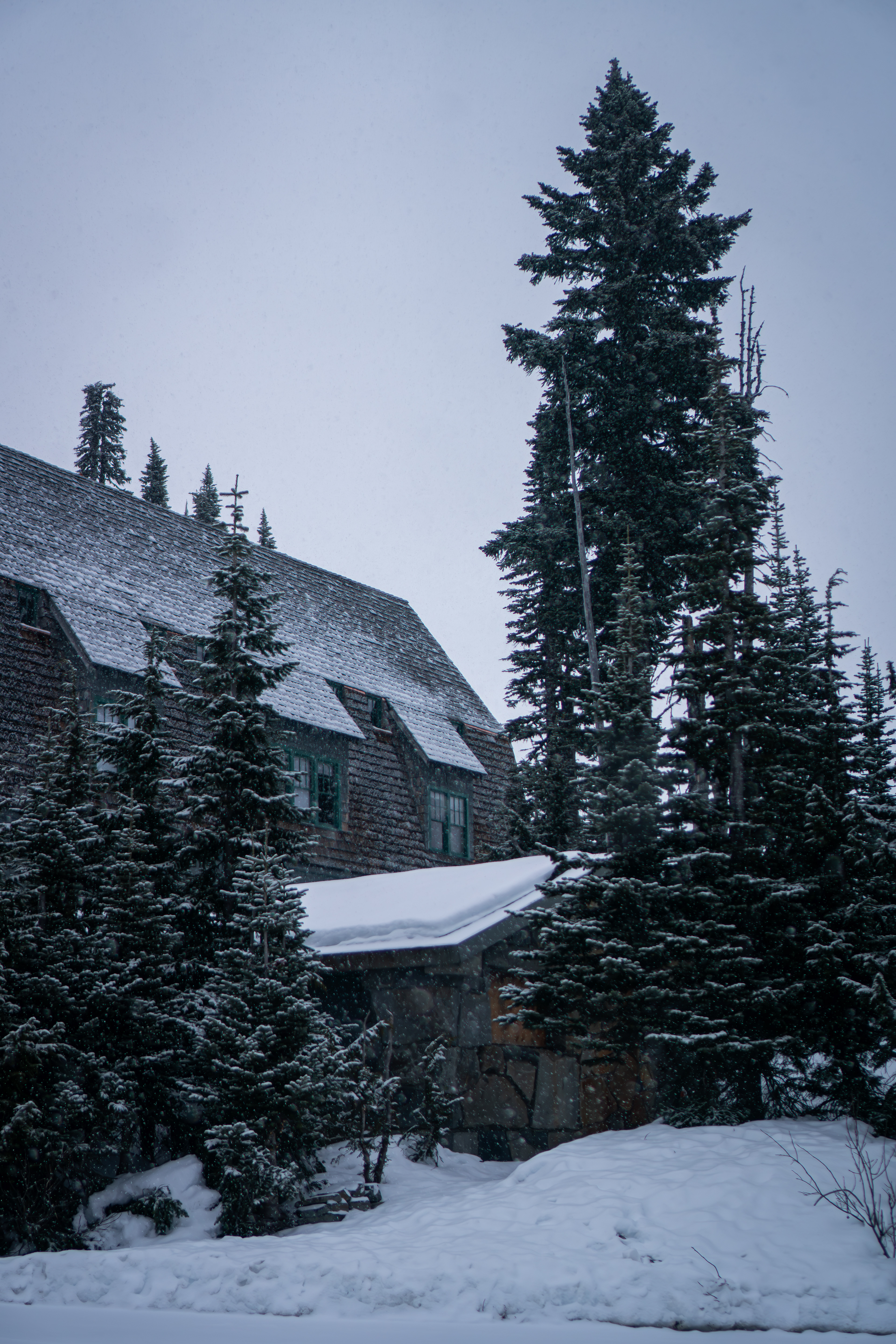 Cabins in Mt Rainier