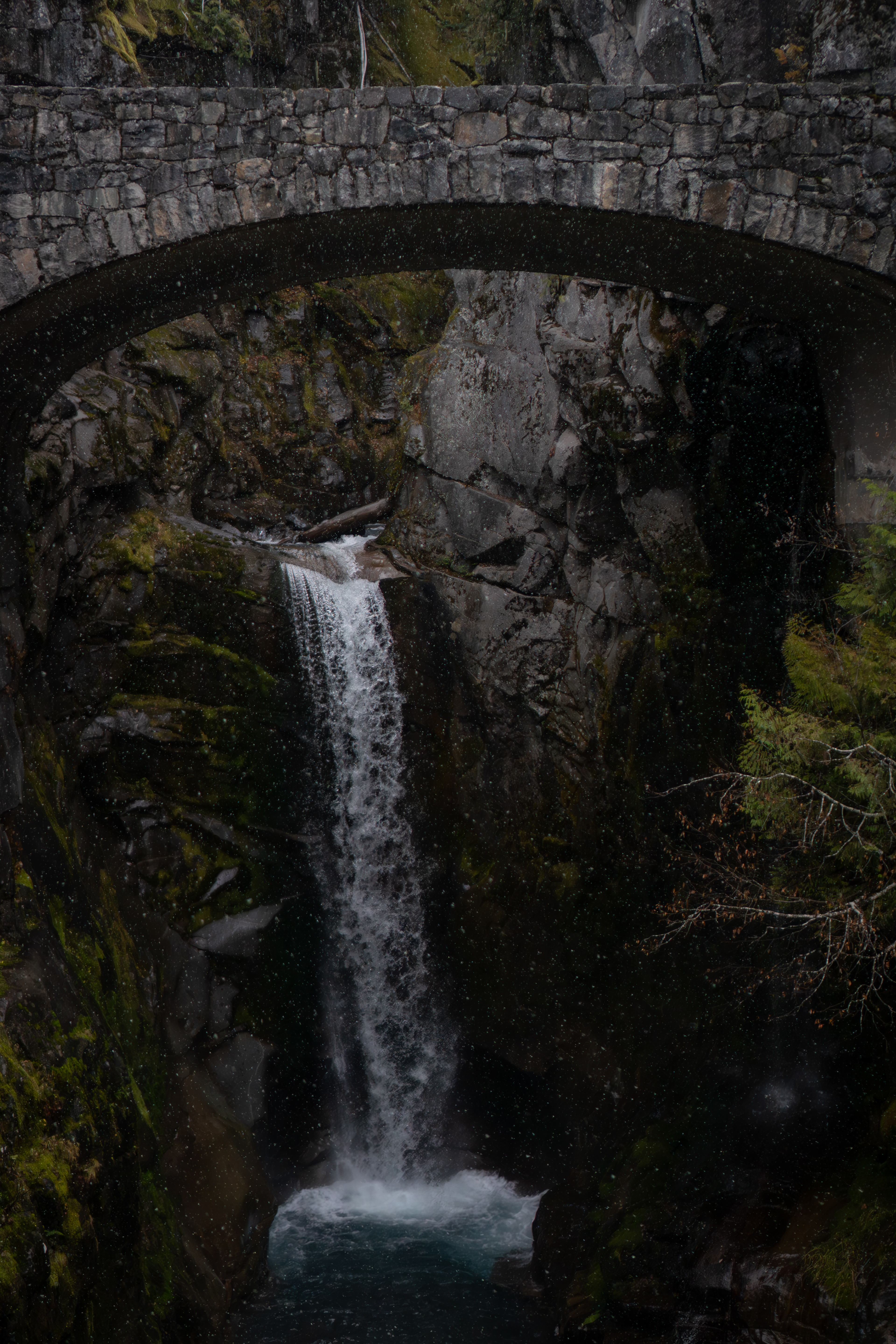 Christine Falls
