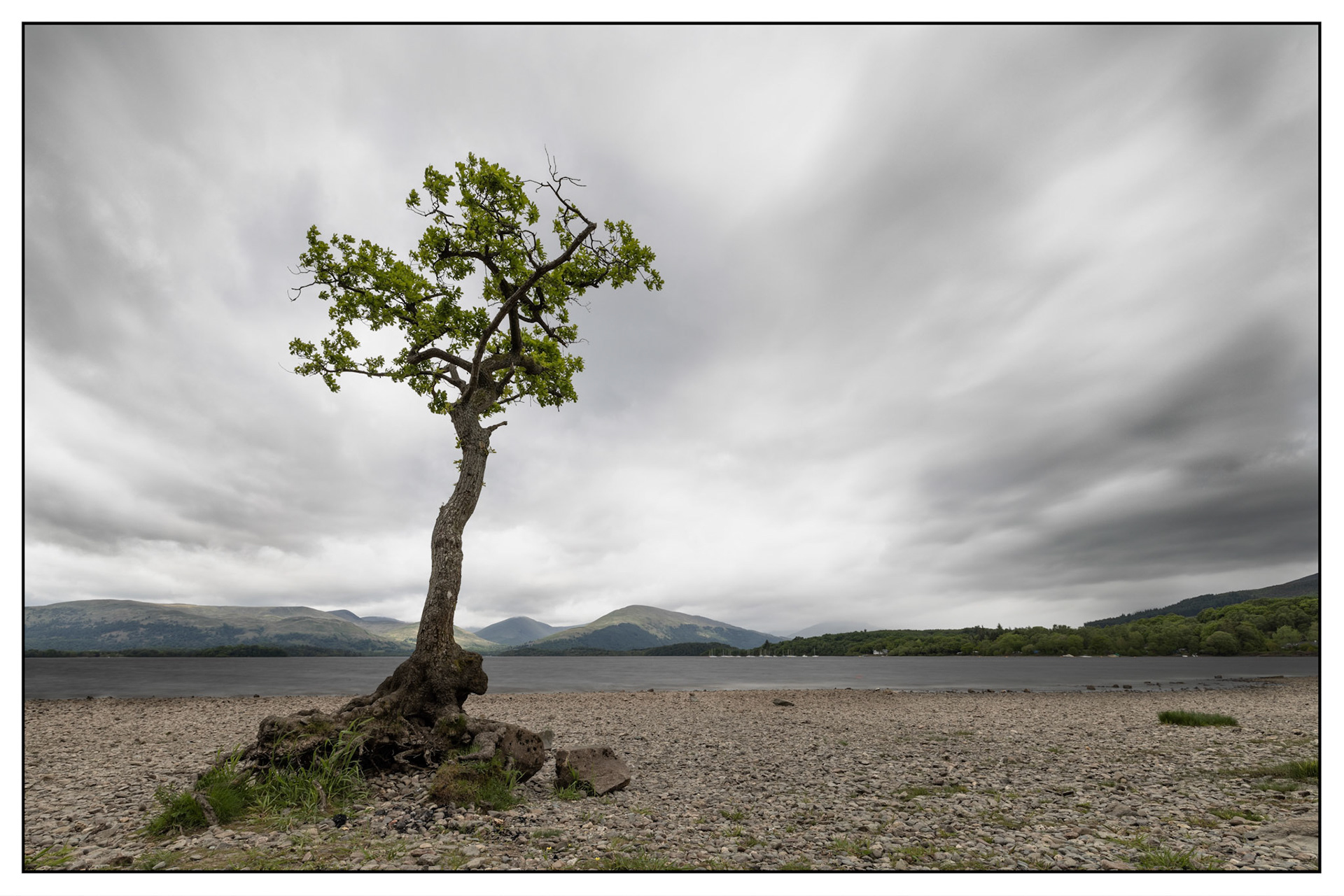 Milarrochy Bay, Loch Lomond