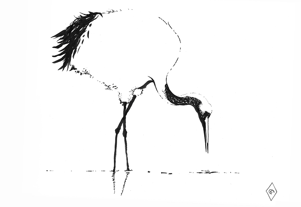 Haiku I [Grus Japonensis]