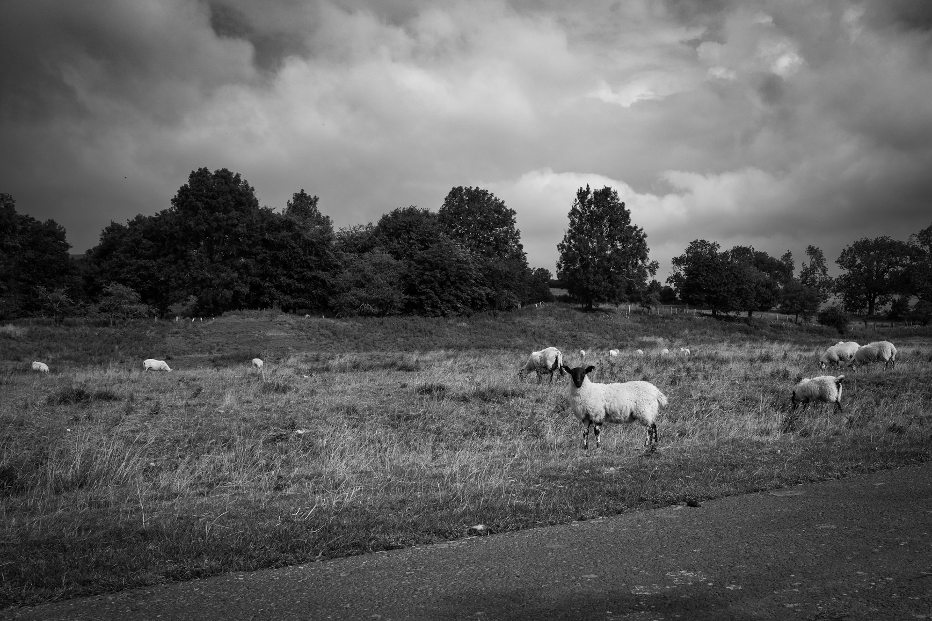 Northumberland UK | Leica Q2 Monochrome