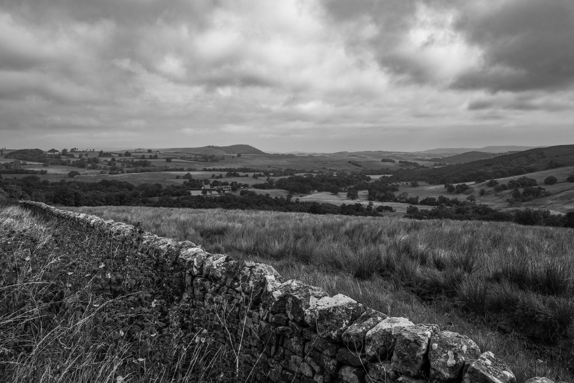 Northumberland UK | Leica Q2 Monochrome