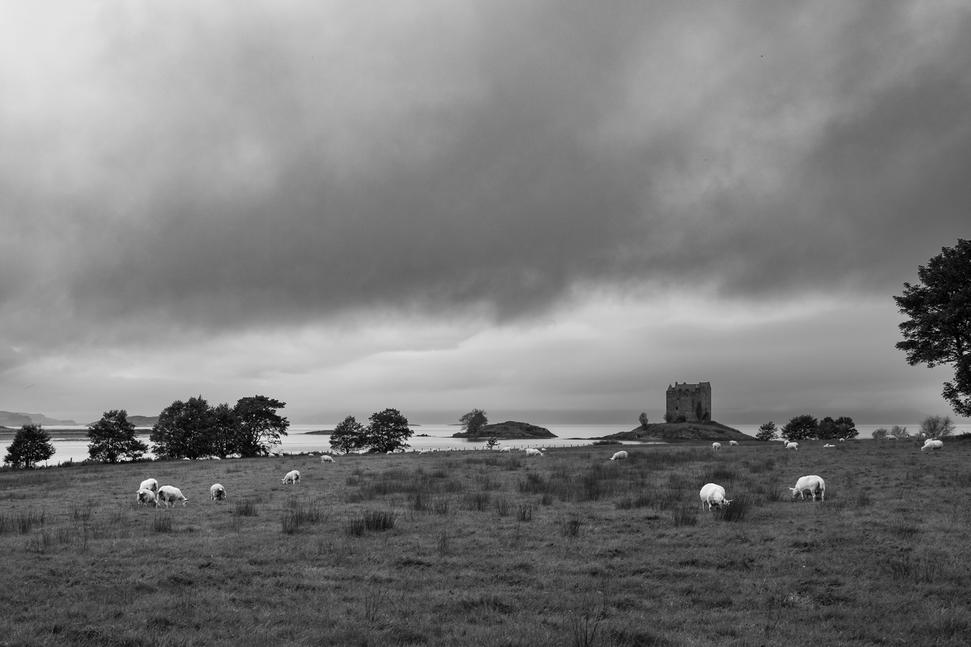 Castle somewhere in Highlands Scotland | Leica Q2 Monochrome