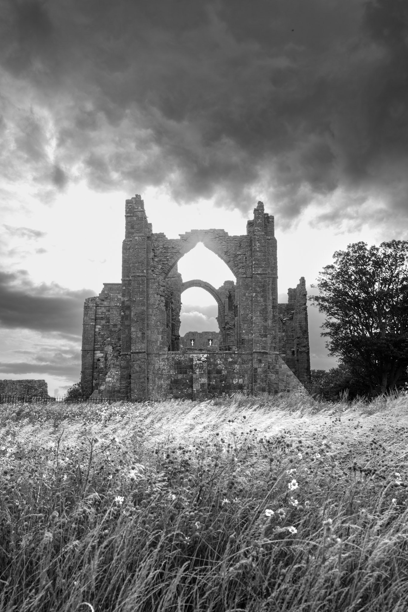 Holy Island | Leica Q2 Monochrome