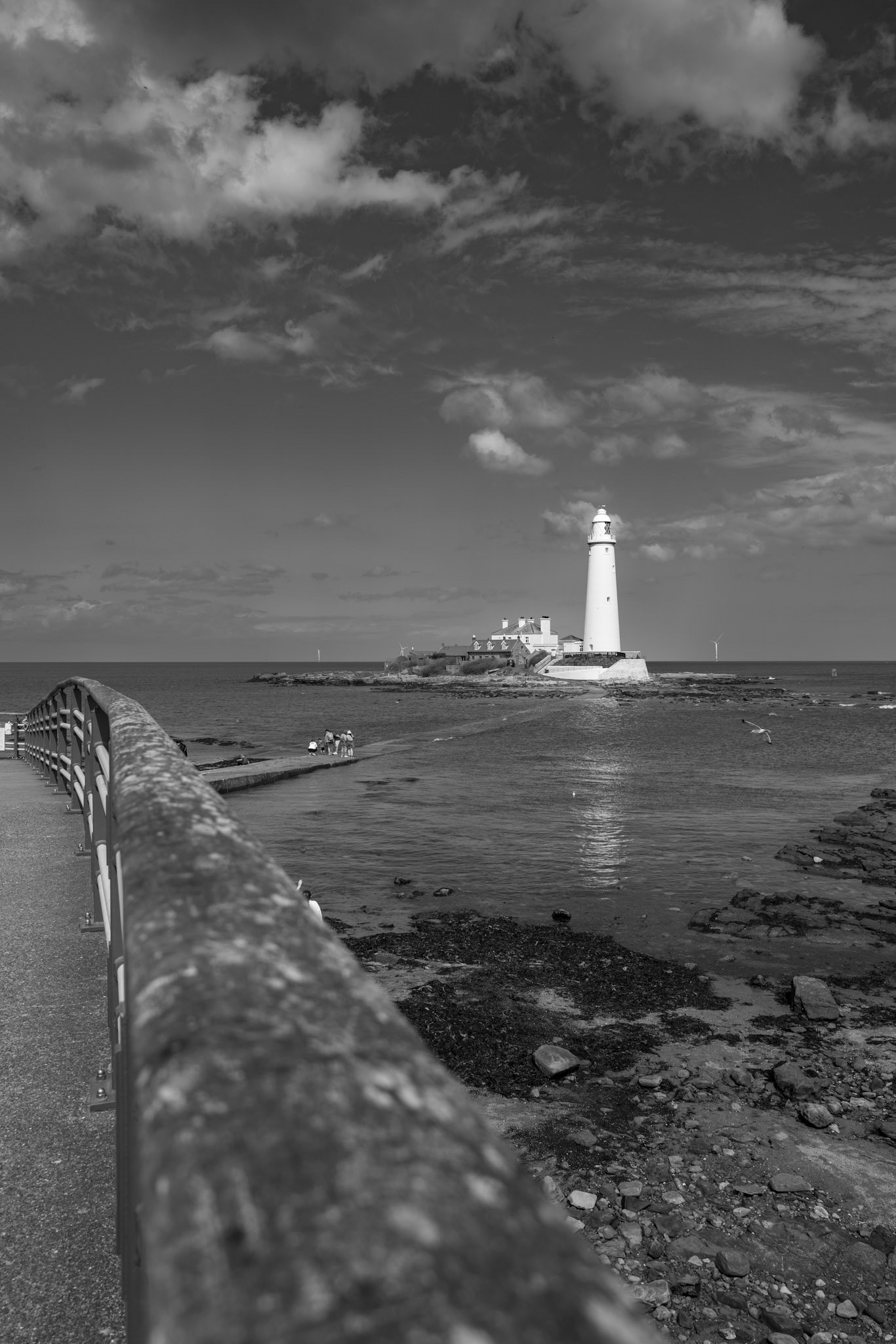 Coquet Island Lighthouse | Leica Q2 Monochrome
