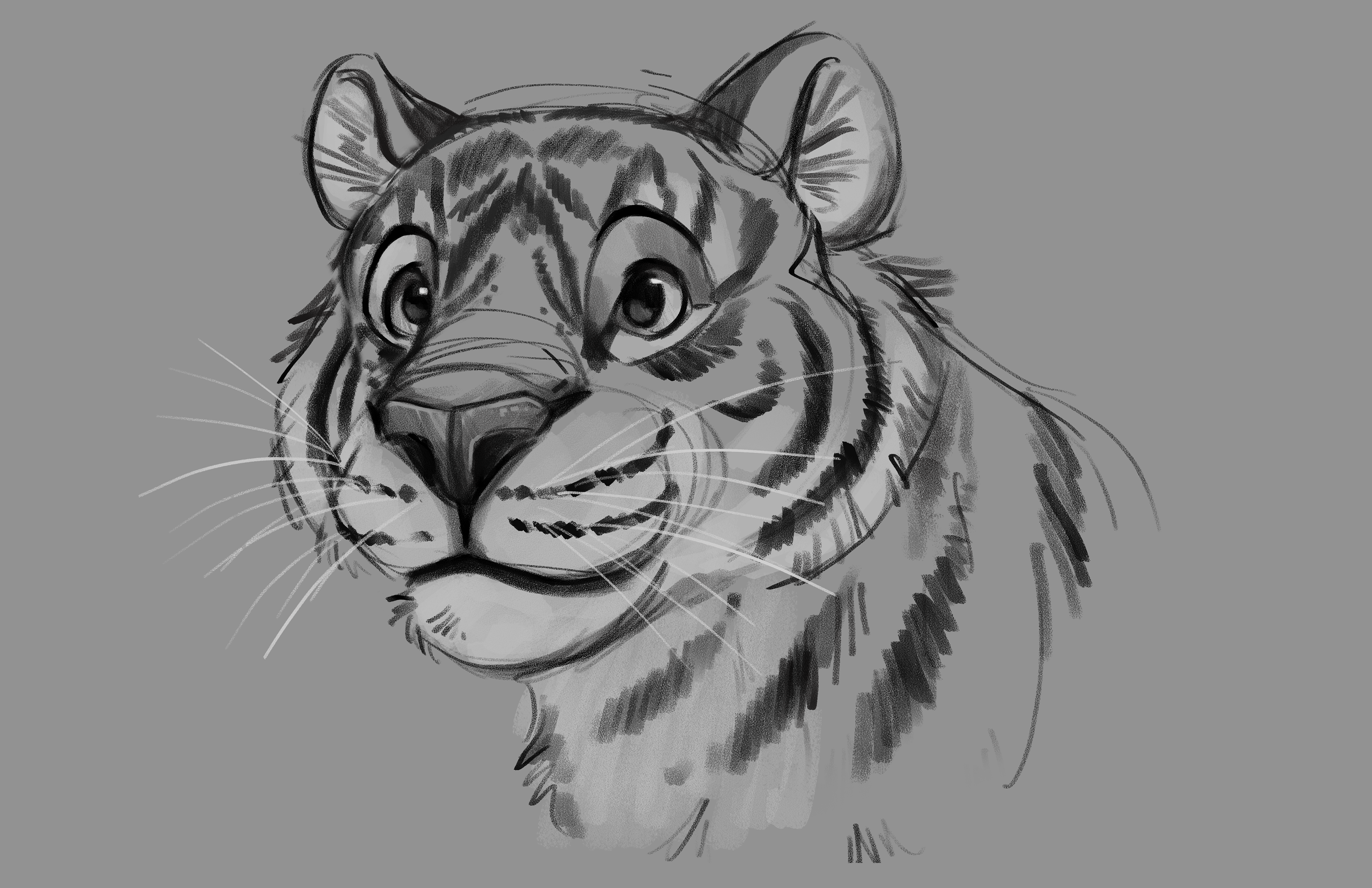 Tiger Sketch