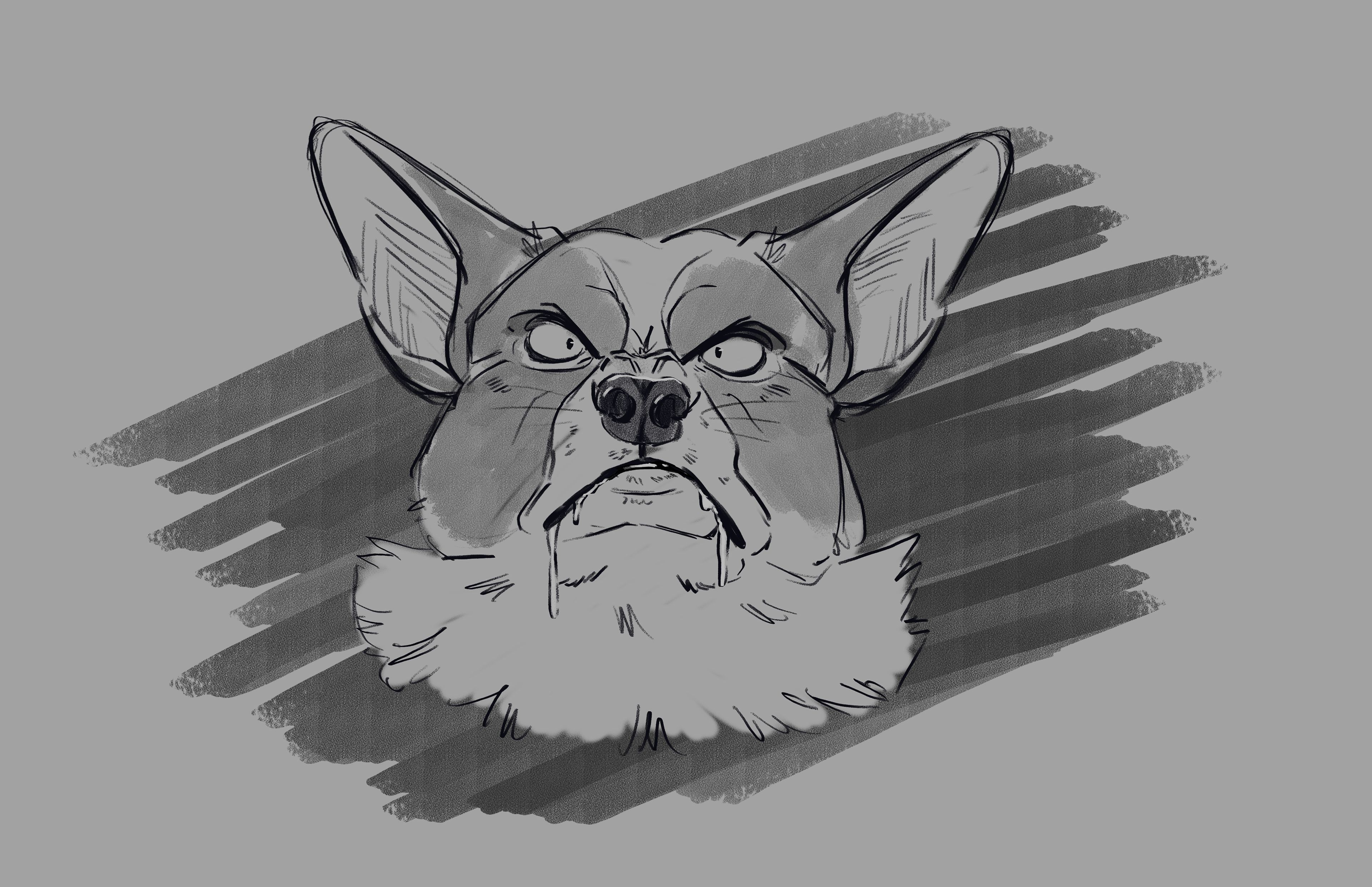 Small Body BIG Attitude