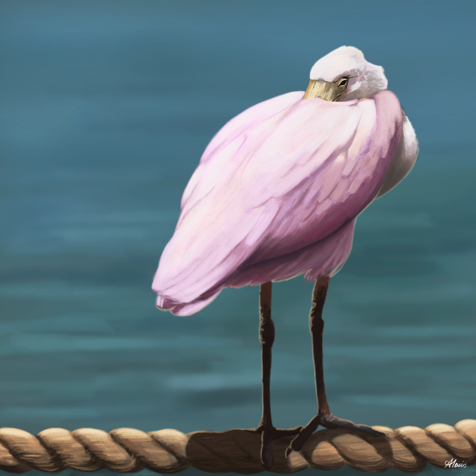 Spoonbill