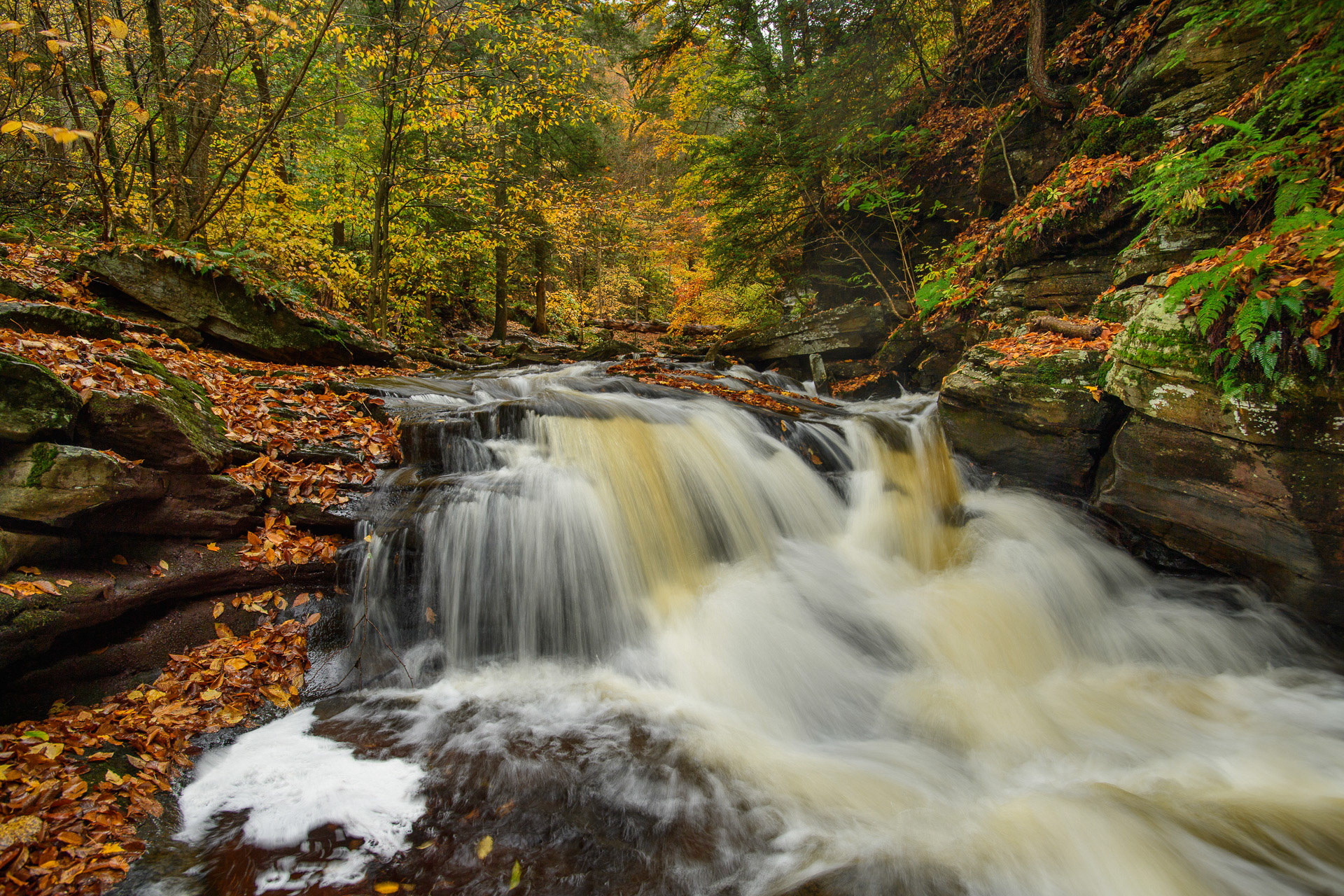 22 October 2016: Ricketts Glen State Park in Pennsylvania.