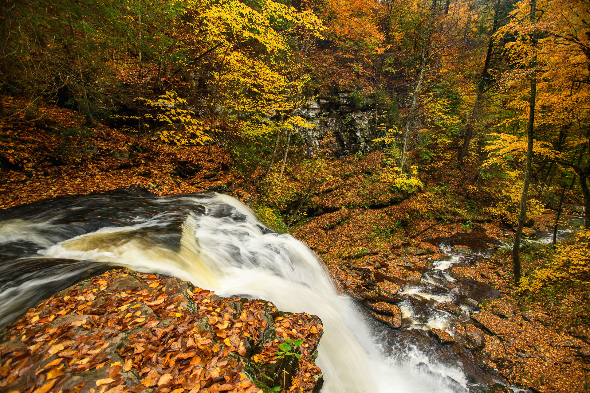 22 October 2016: Ricketts Glen State Park in Pennsylvania.