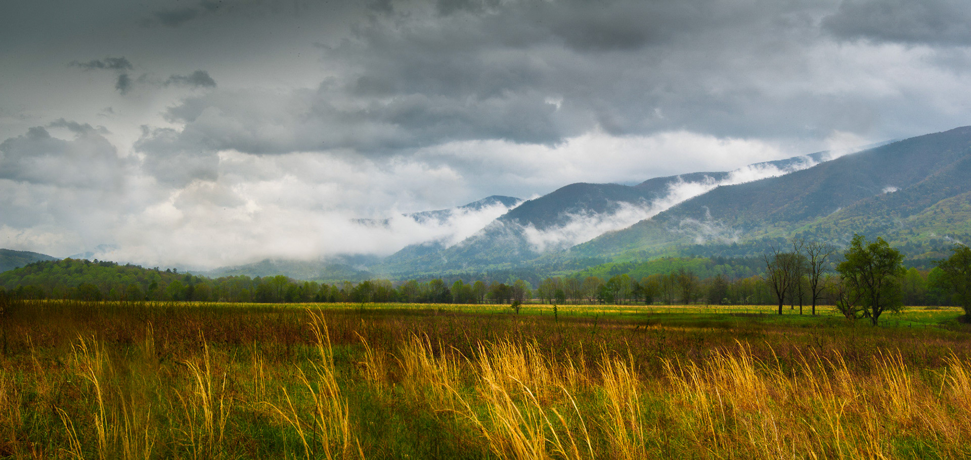 24 April 2013: Cades Cove in the Great Smoky Mountains National Park