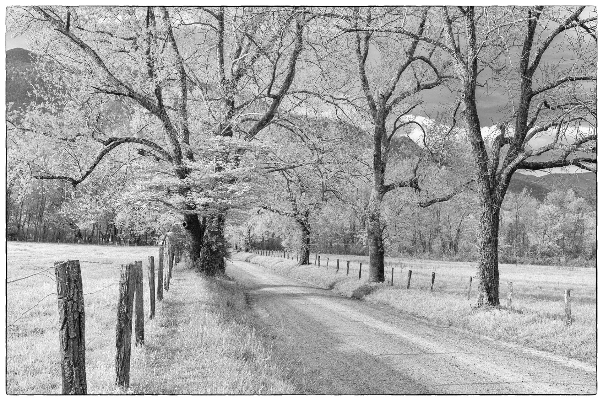 24 April 2013: in the Great Smoky Mountains National Park