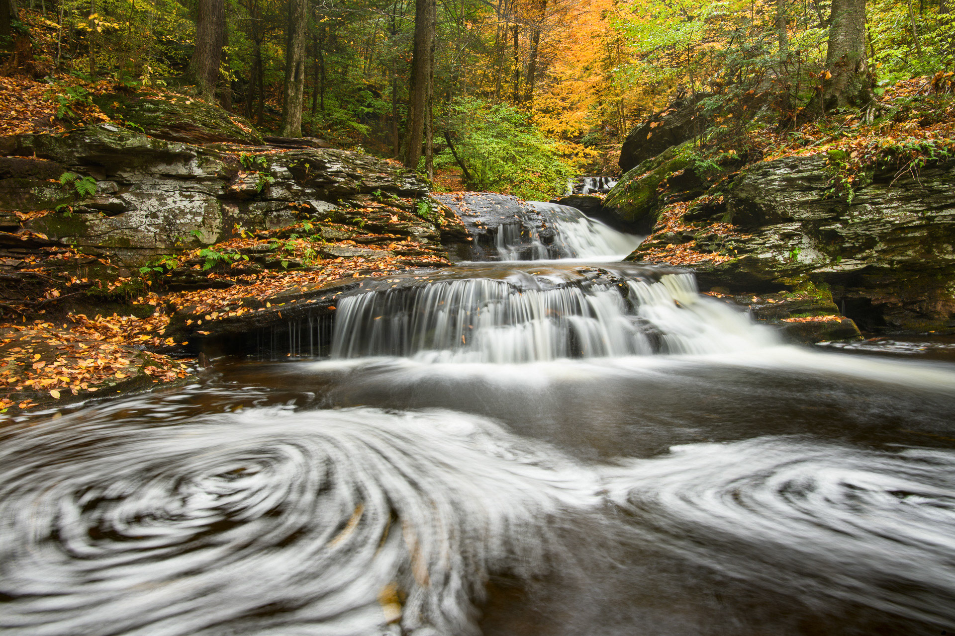 22 October 2016: Ricketts Glen State Park in Pennsylvania.