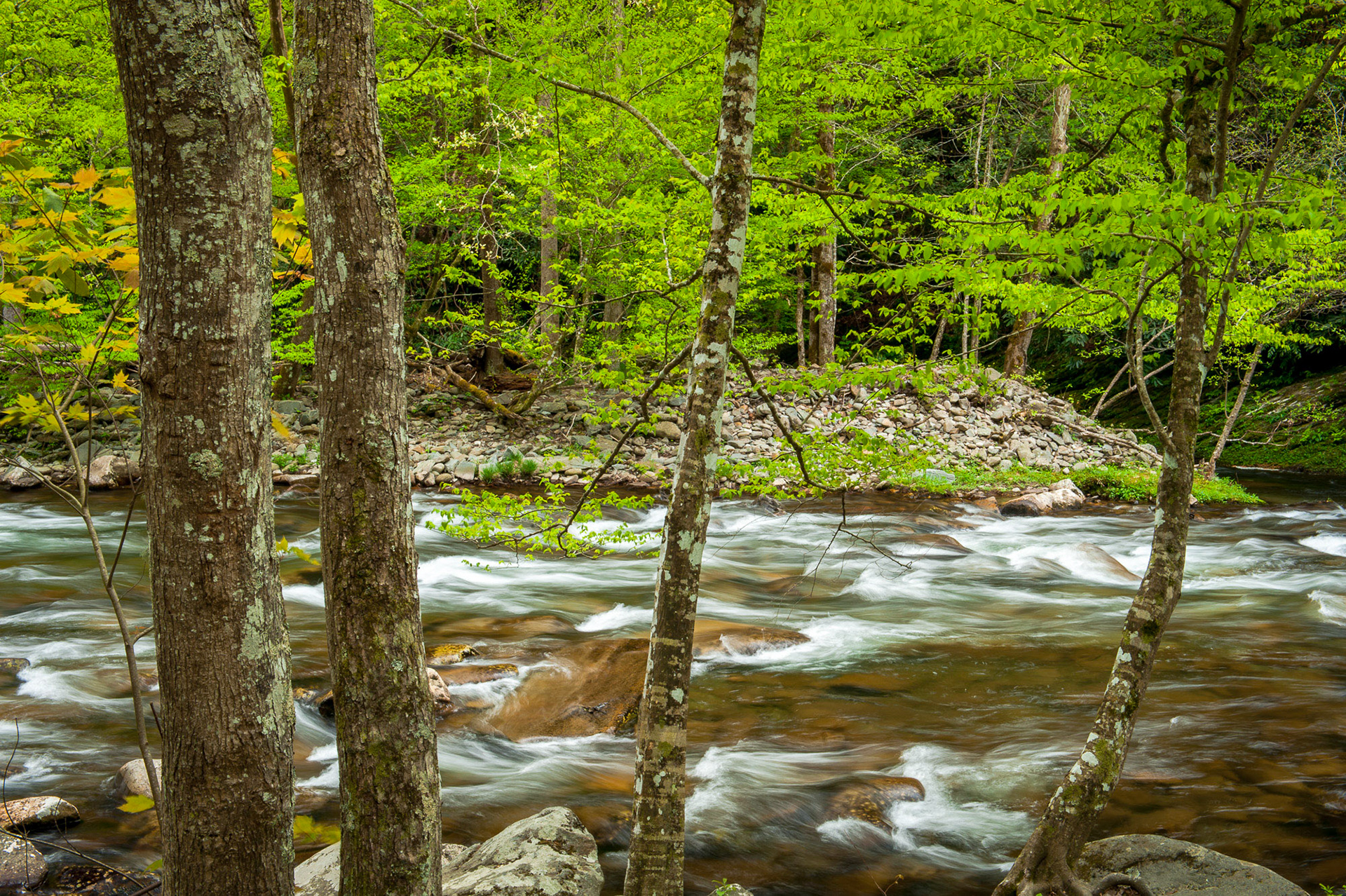 24 April 2013: Cades Cove in the Great Smoky Mountains National Park