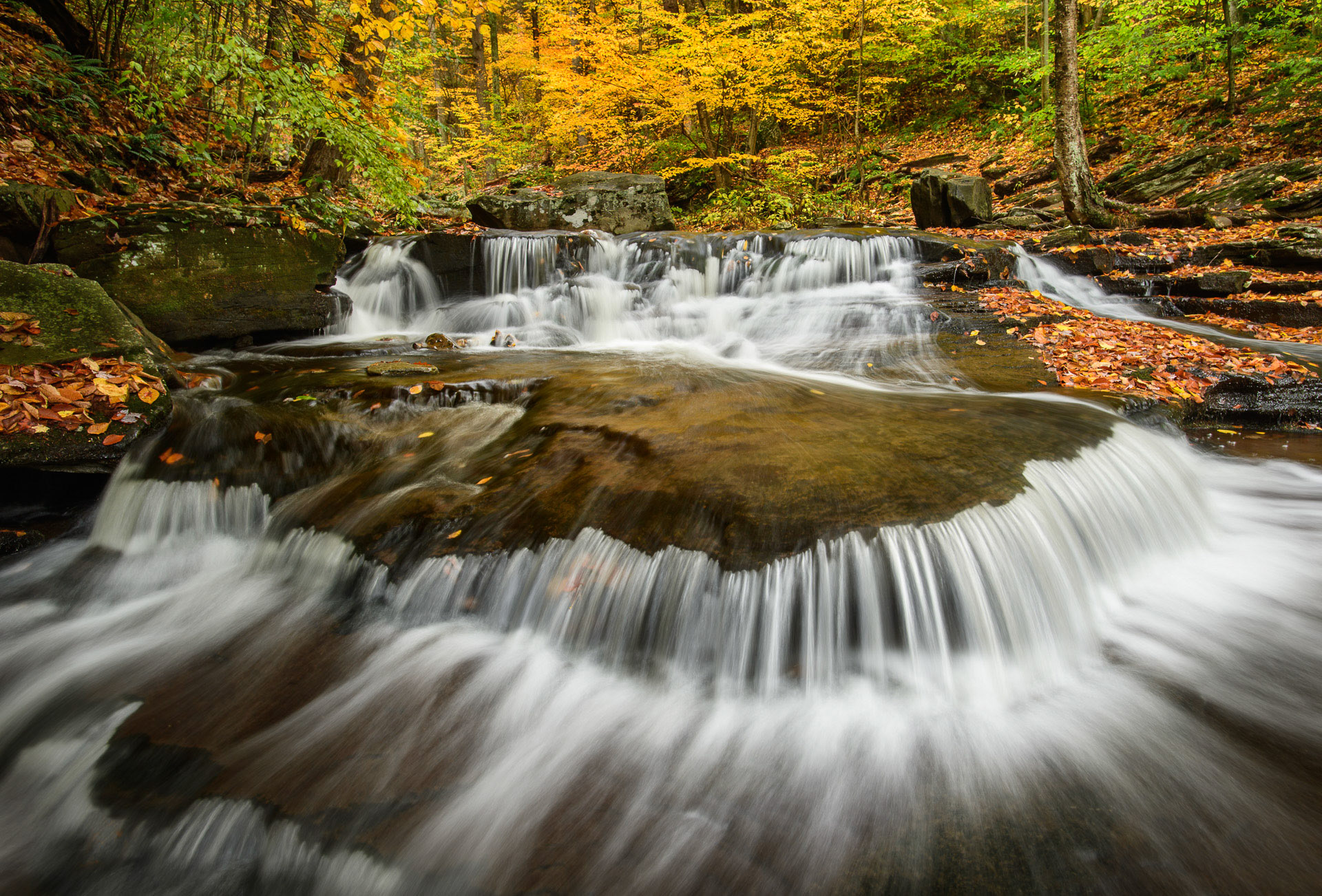 22 October 2016: Ricketts Glen State Park in Pennsylvania.