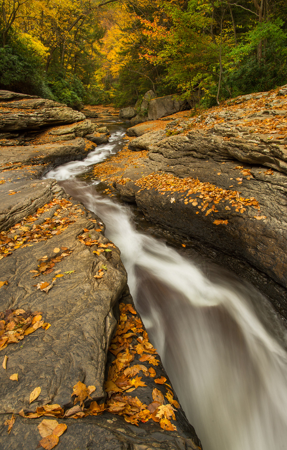 16 October 2015: Meadow Run natural water slide in Ohiopyle, PA