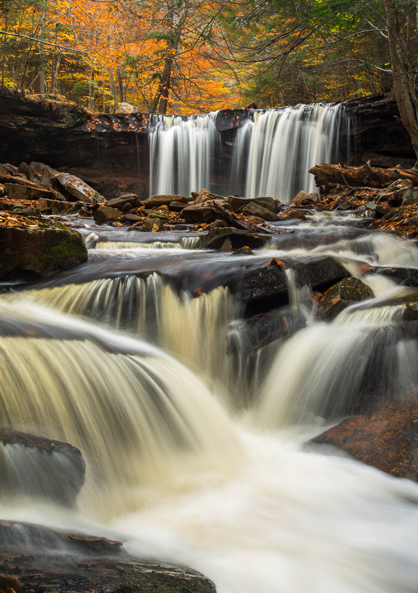 23 October 2016: Ricketts Glen State Park in Pennsylvania.