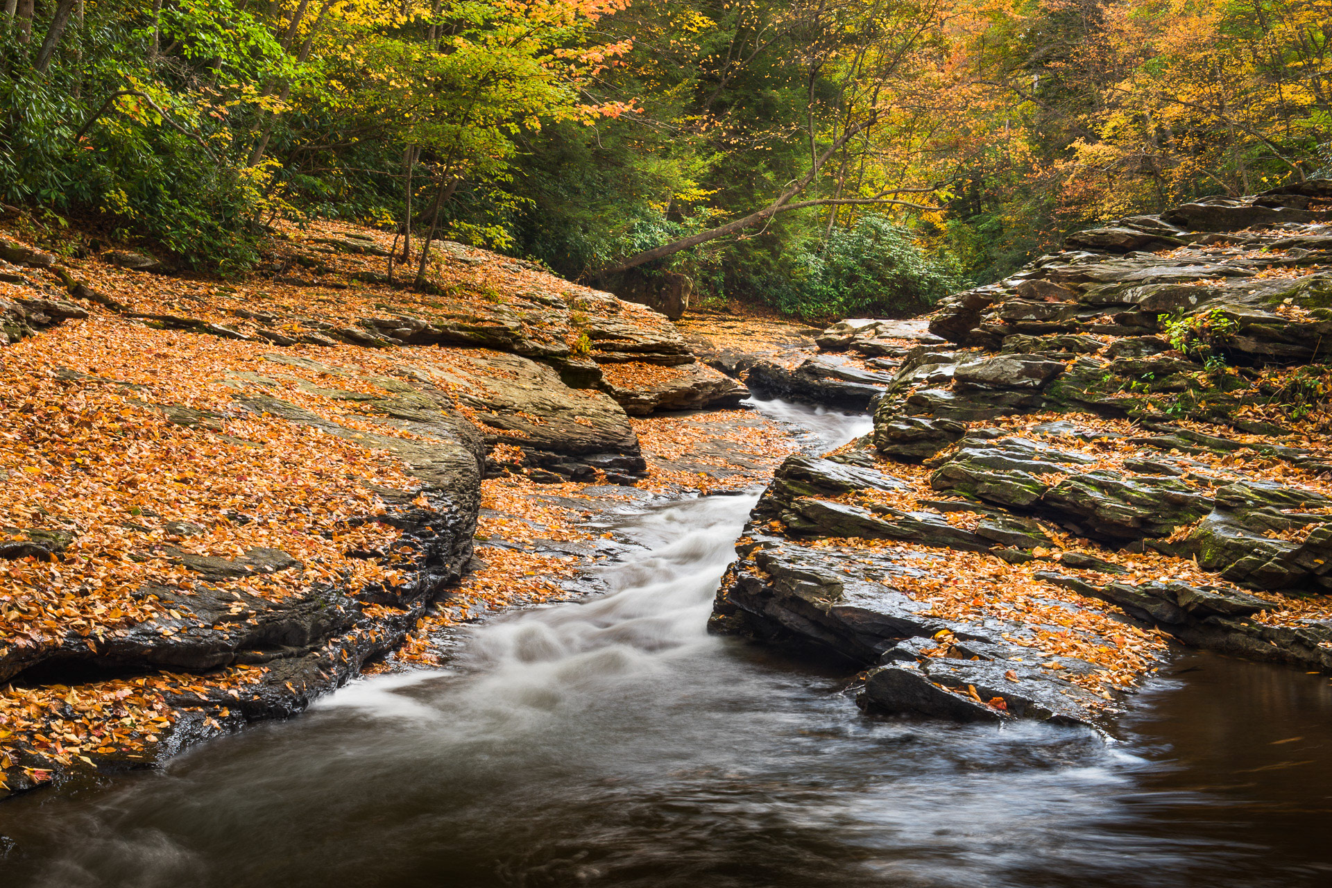 16 October 2015: Meadow Run natural water slide in Ohiopyle, PA