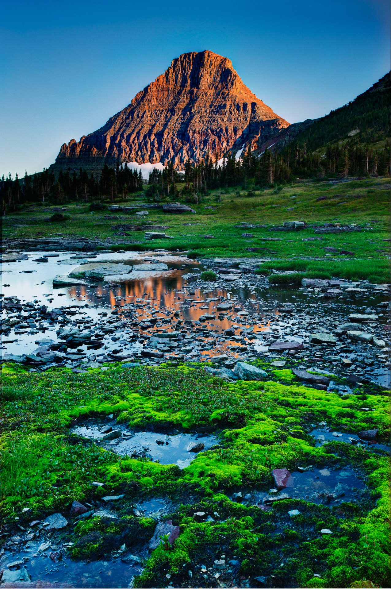 23 August 2012: Mt Reynolds reflection in tarn along Hidden Lake Trail in Glacier National Park, MT