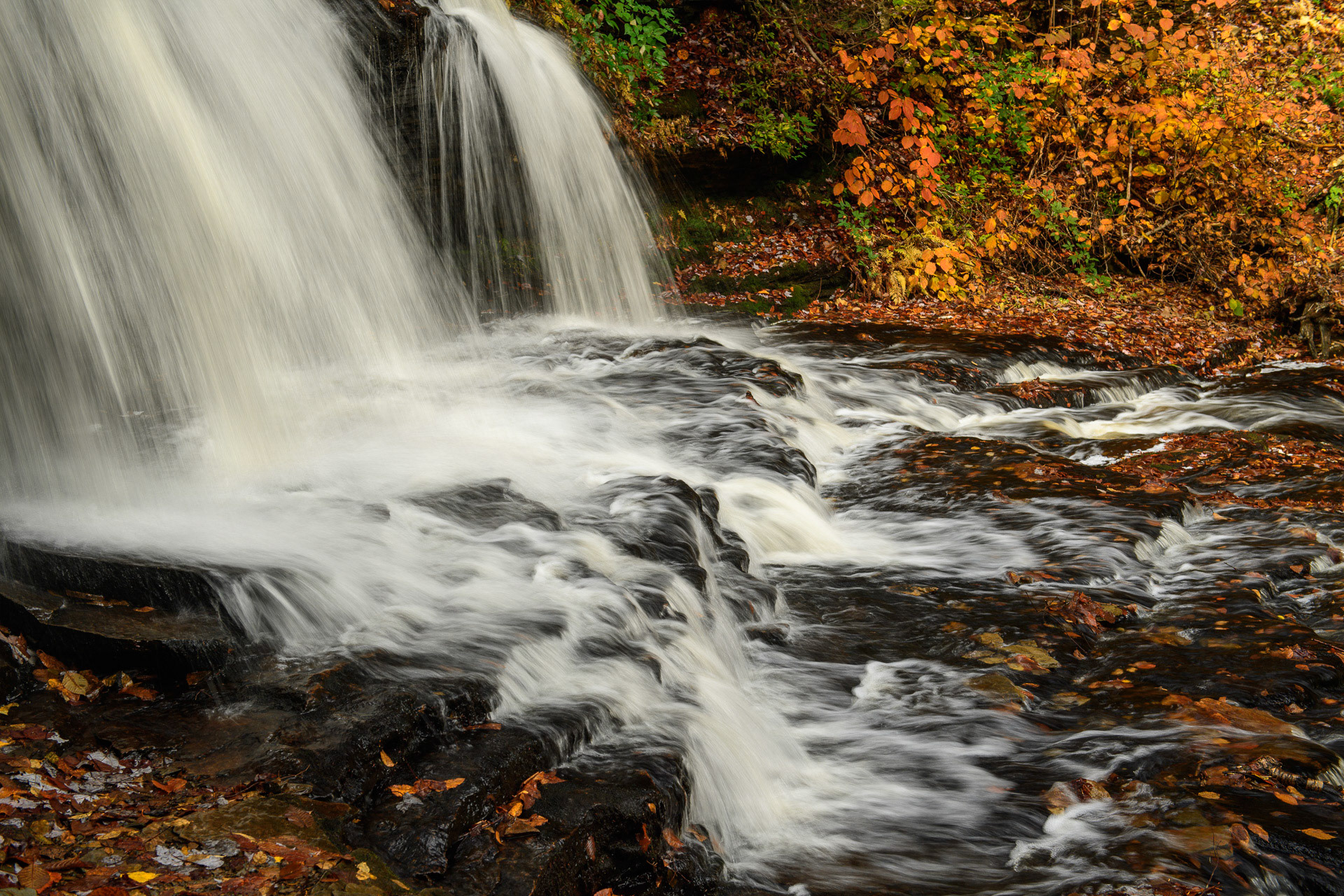 23 October 2016: Ricketts Glen State Park in Pennsylvania.