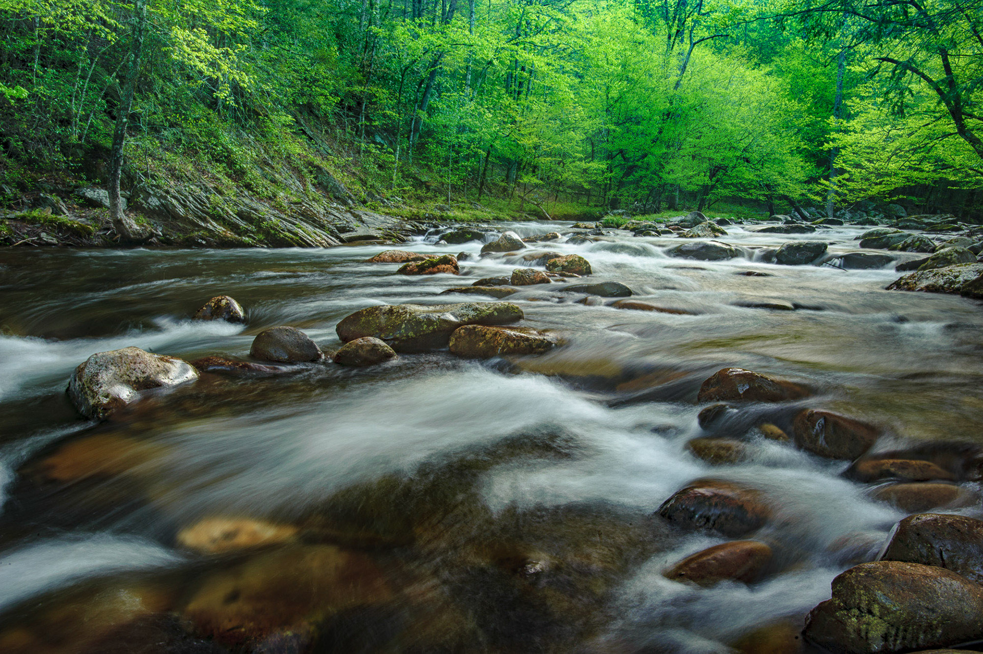 23 April 2013: Tremont area in the Great Smoky Mountains National Park