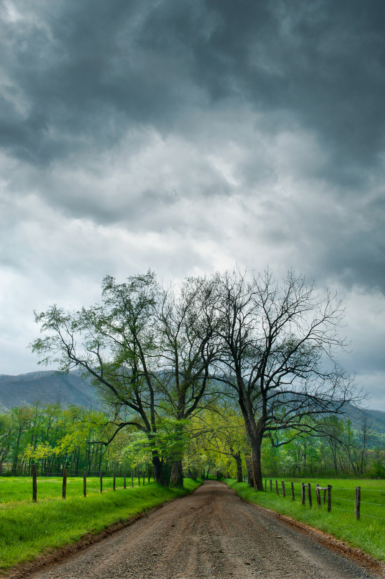 24 April 2013: Cades Cove in the Great Smoky Mountains National Park