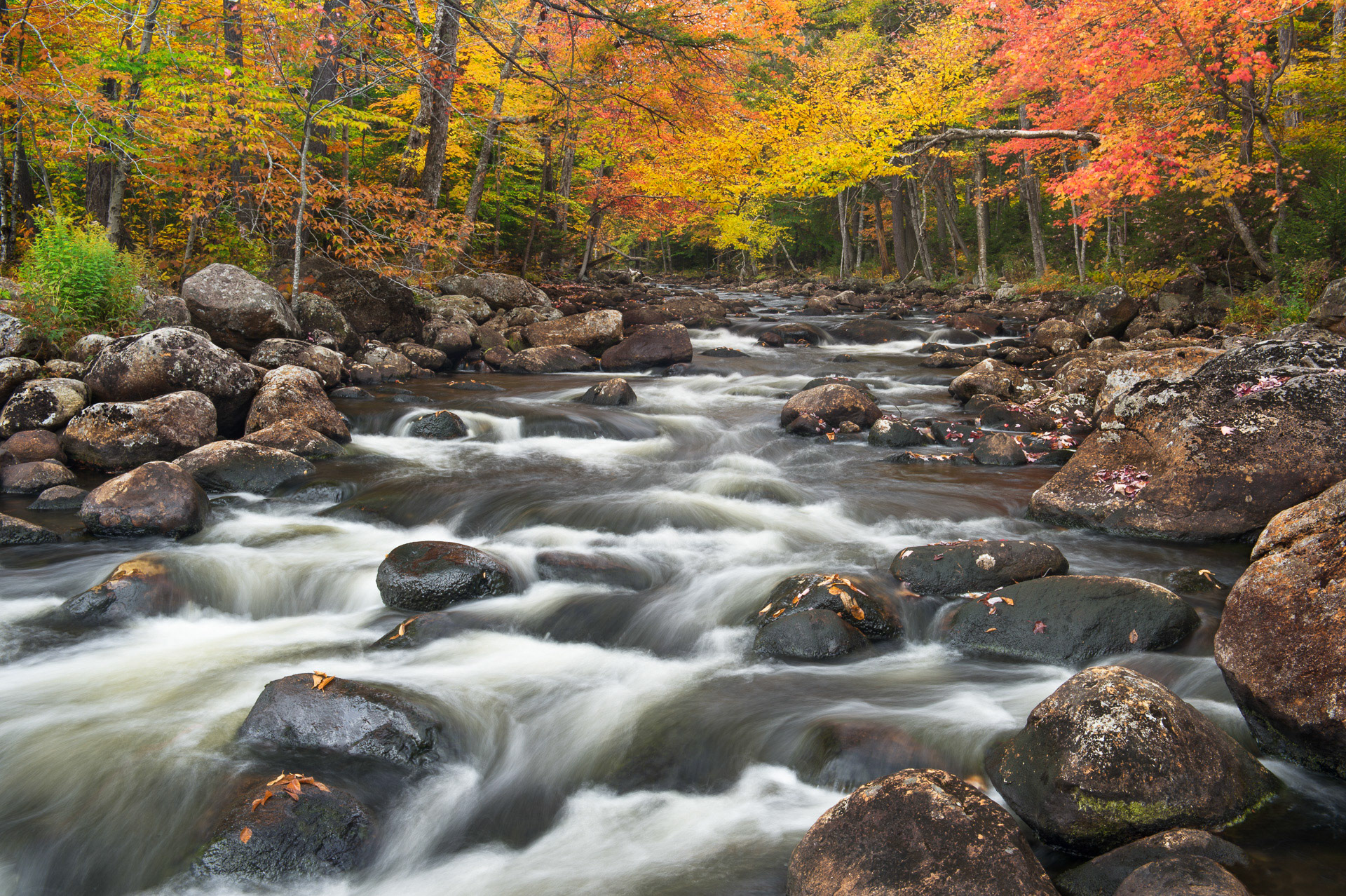 30 September 2014: Moose River in the Adirondack Mountains, NY.