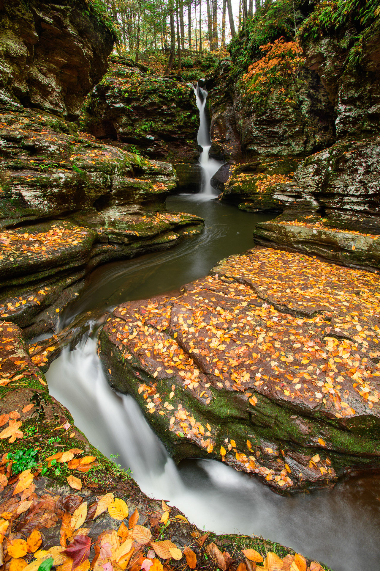 21 October 2016: Ricketts Glen State Park in Pennsylvania.