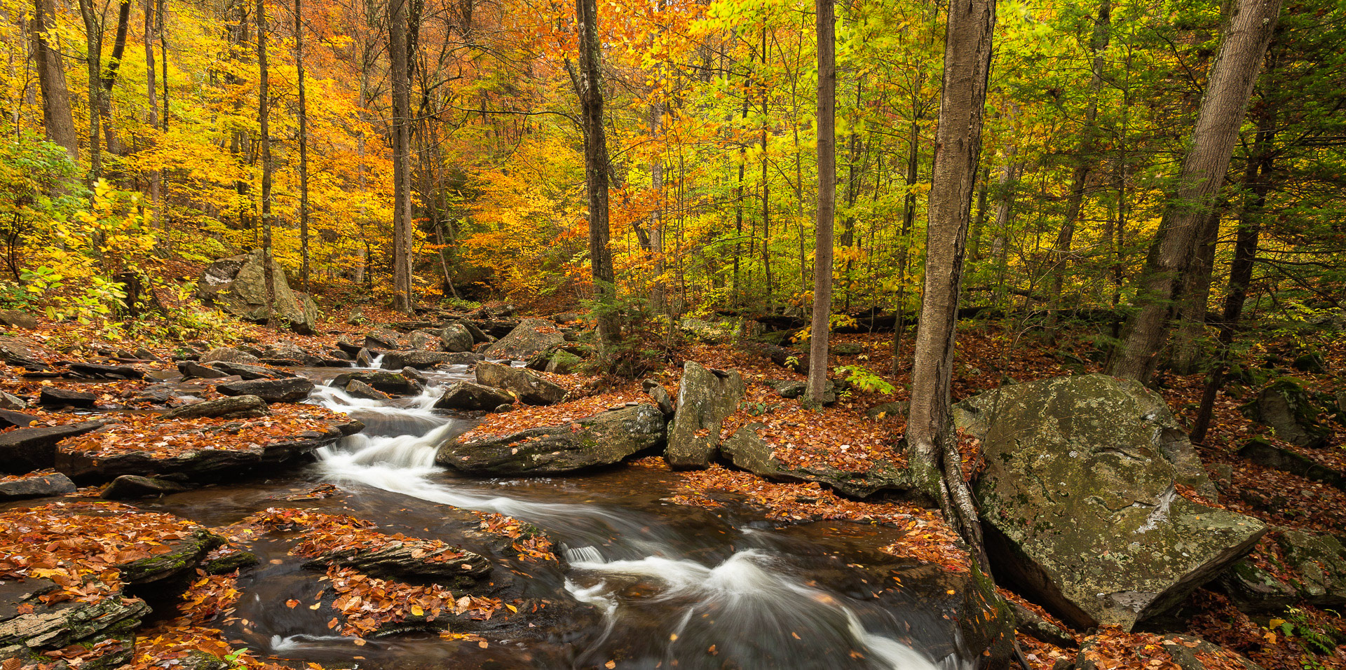 22 October 2016: Ricketts Glen State Park in Pennsylvania.