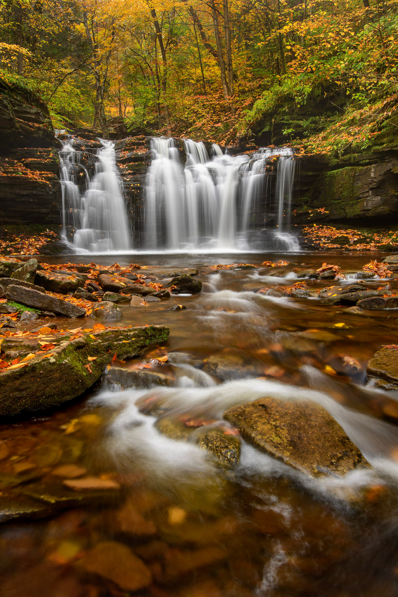22 October 2016: Ricketts Glen State Park in Pennsylvania.