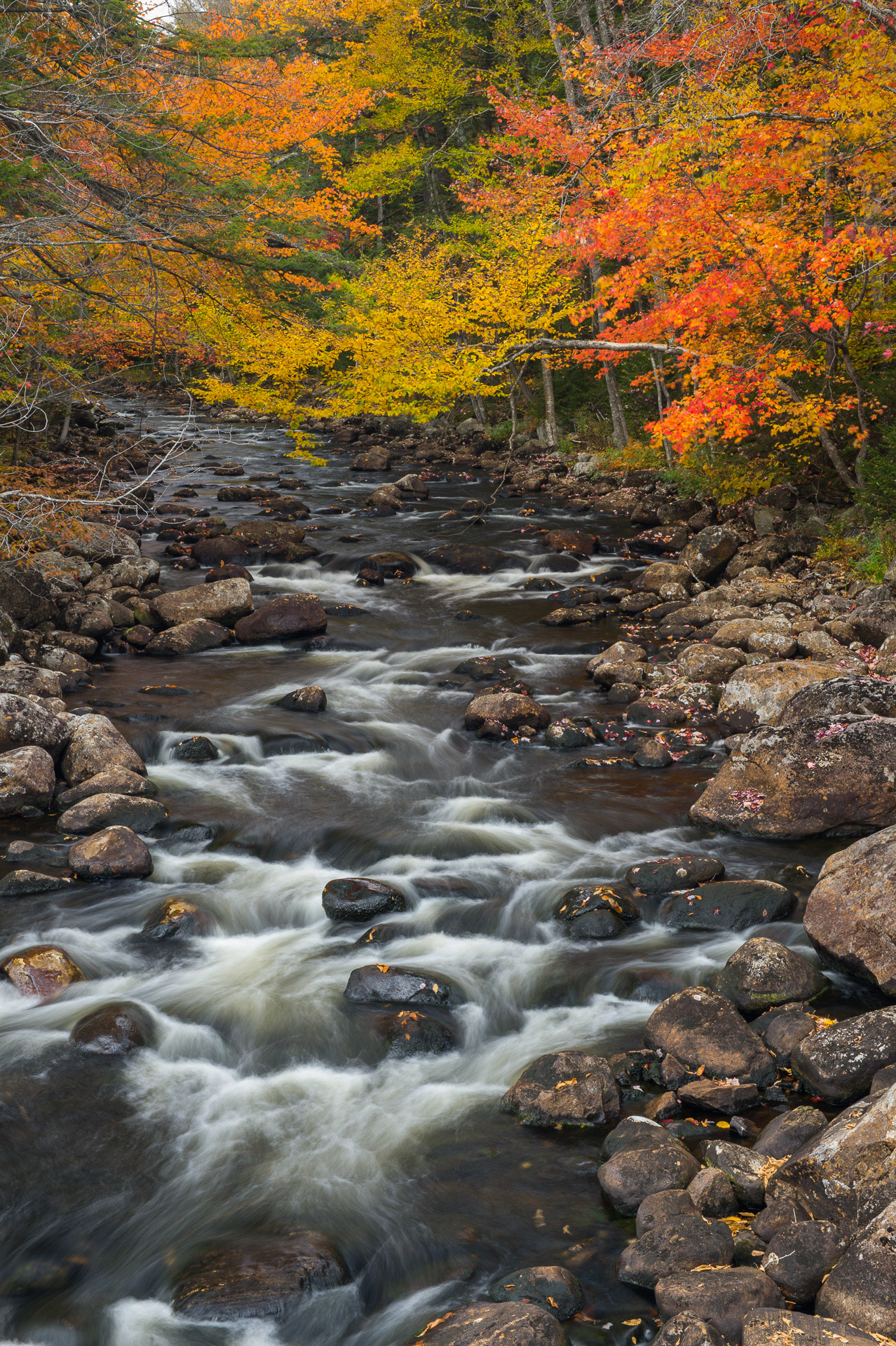 30 September 2014: Moose River in the Adirondack Mountains, NY.