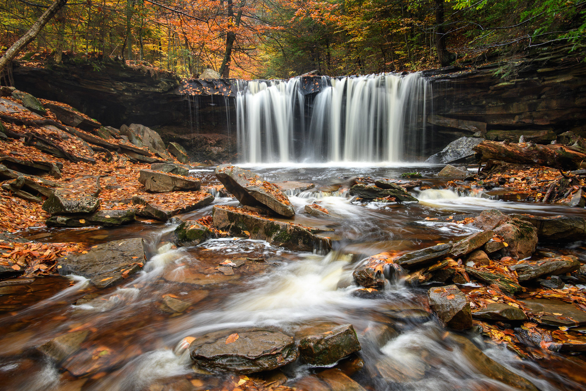 22 October 2016: Ricketts Glen State Park in Pennsylvania.