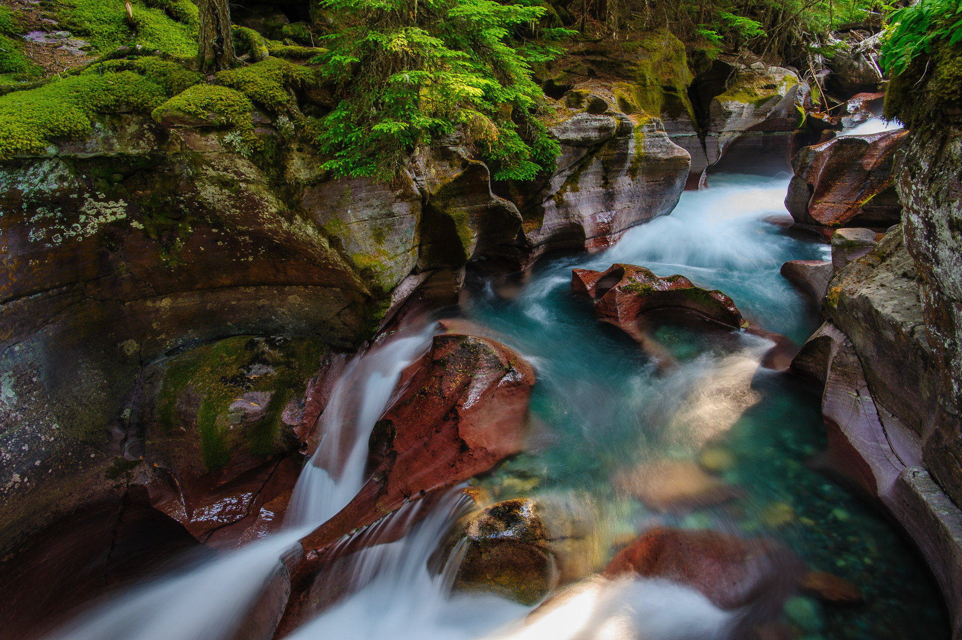 20 August 2012: Avalanche Flume in Glacier National Park, MT