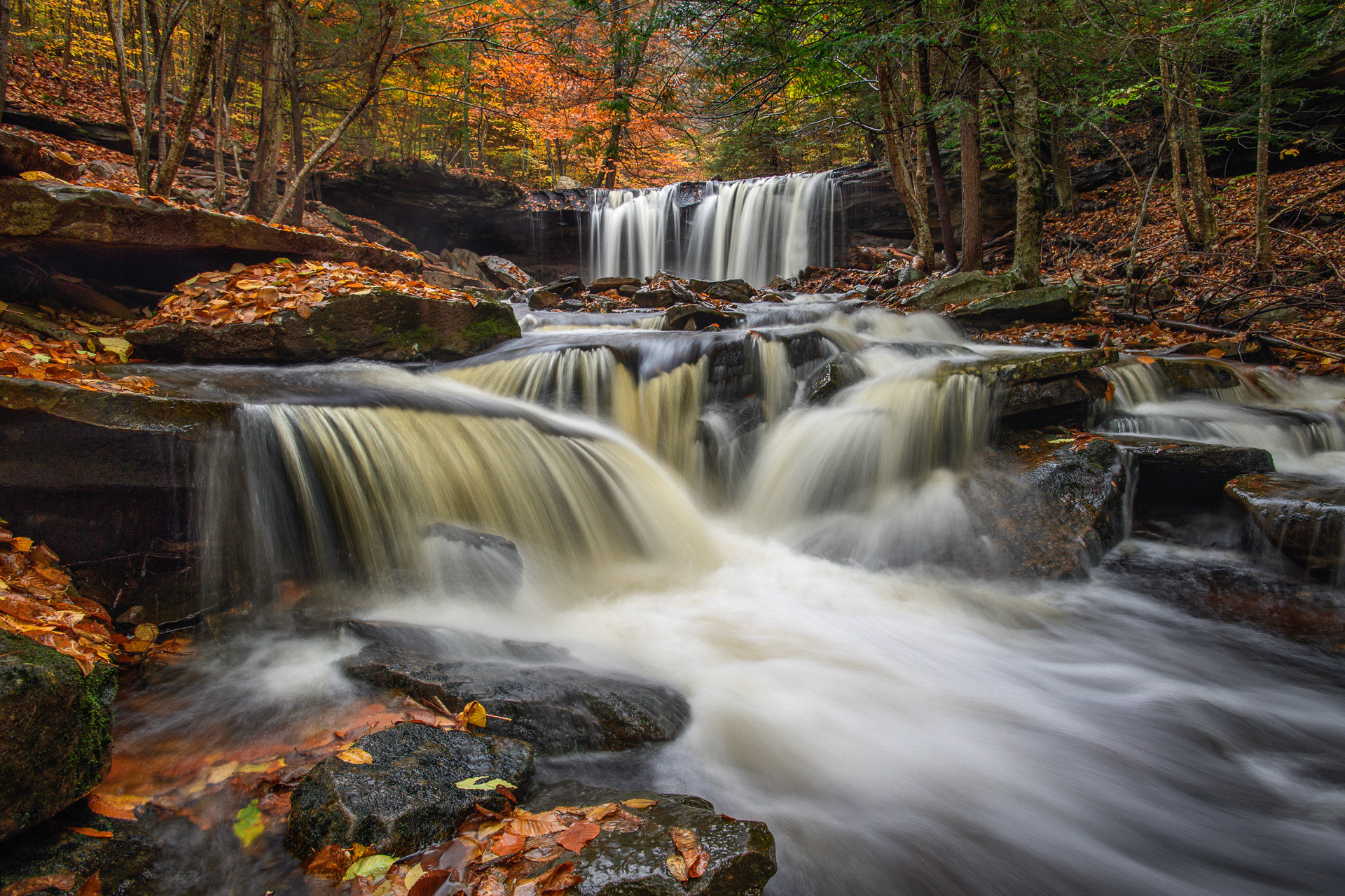 22 October 2016: Ricketts Glen State Park in Pennsylvania.