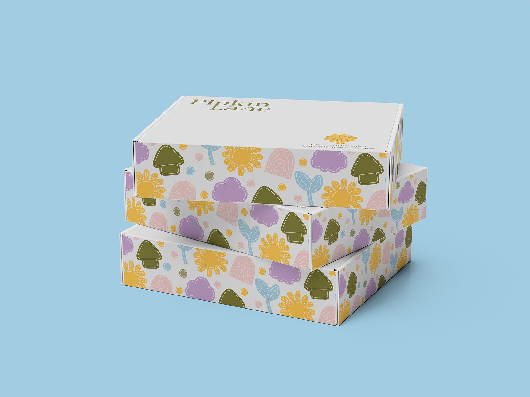 Mock up of boxes for online orders