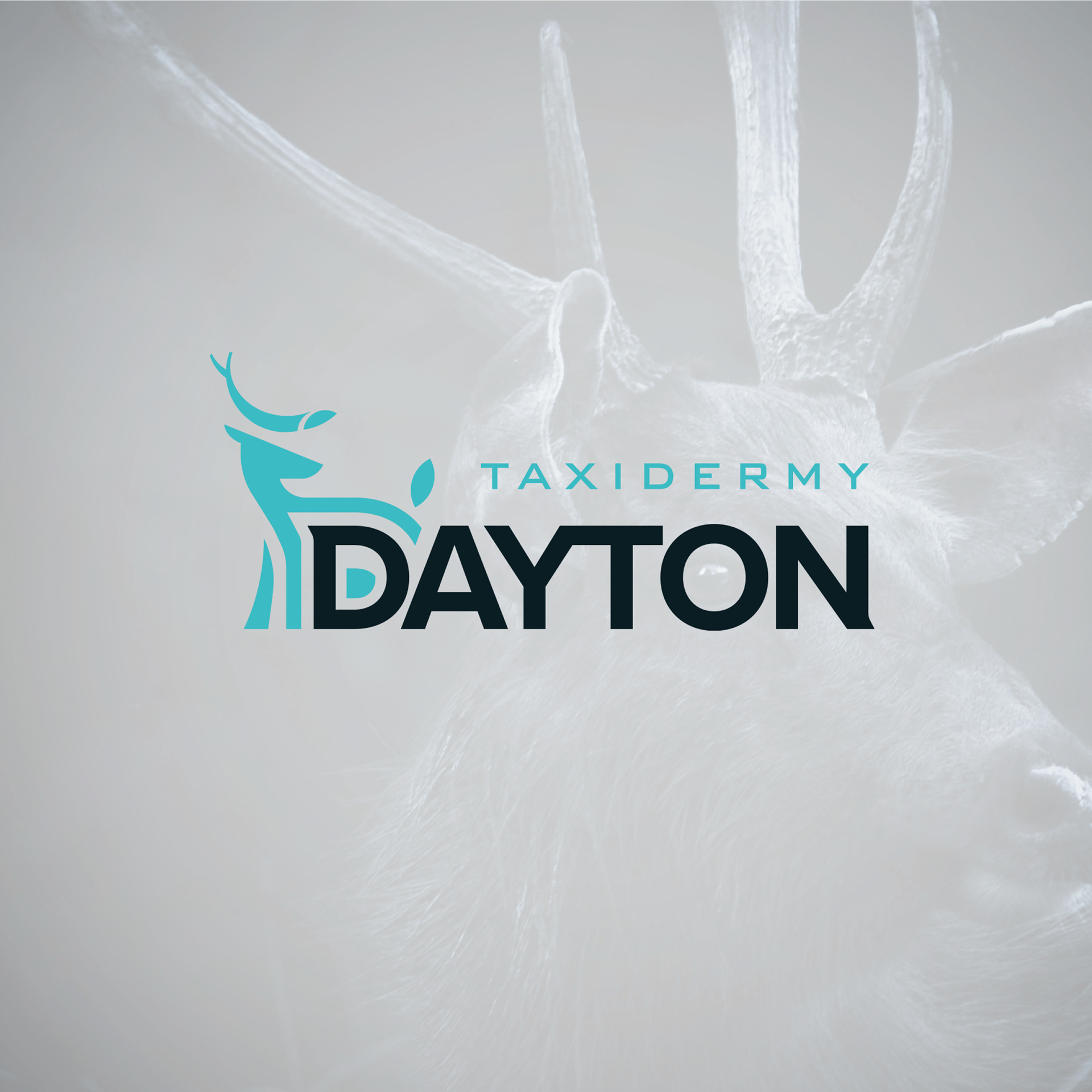 Dayton Taxidermy