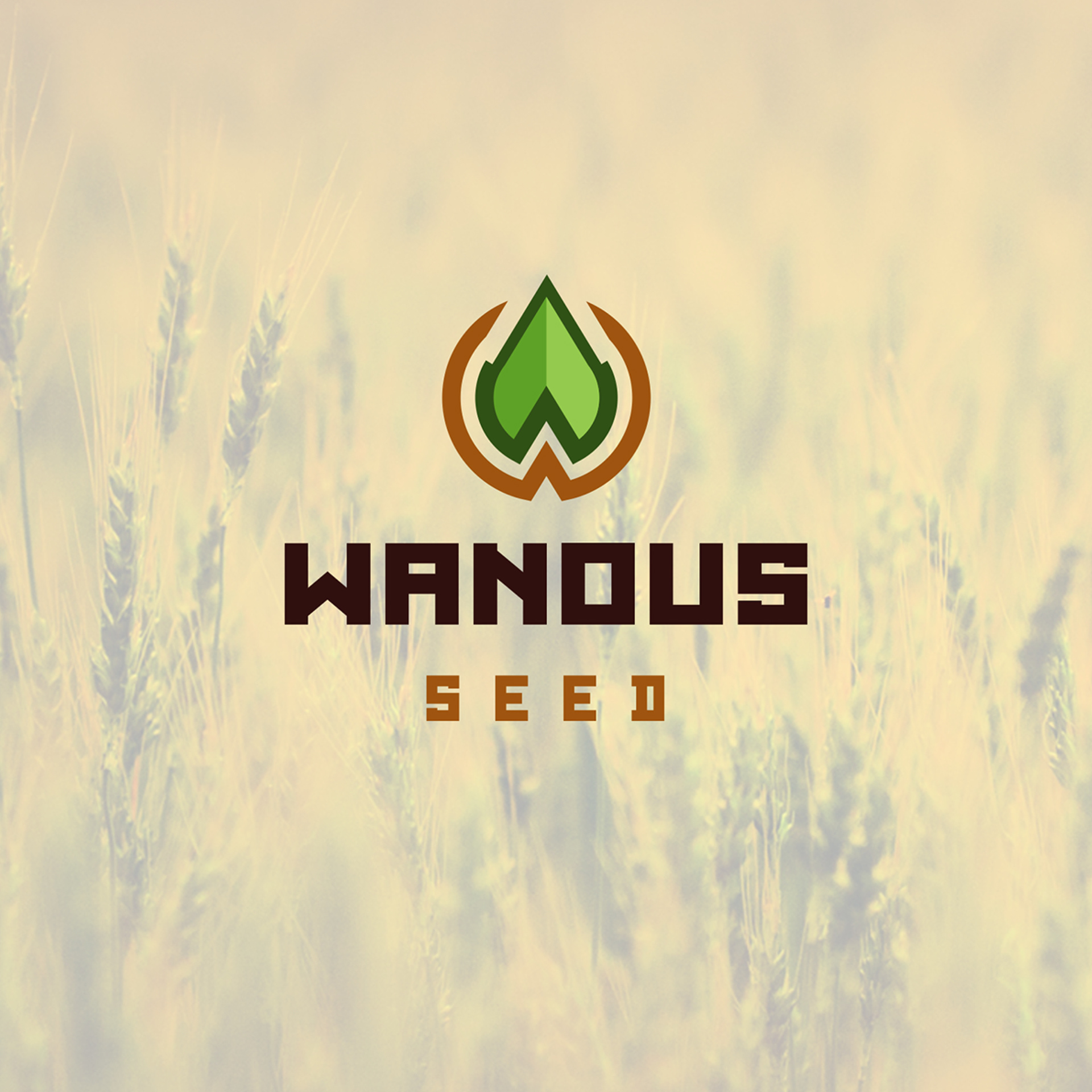 Wanous Seed