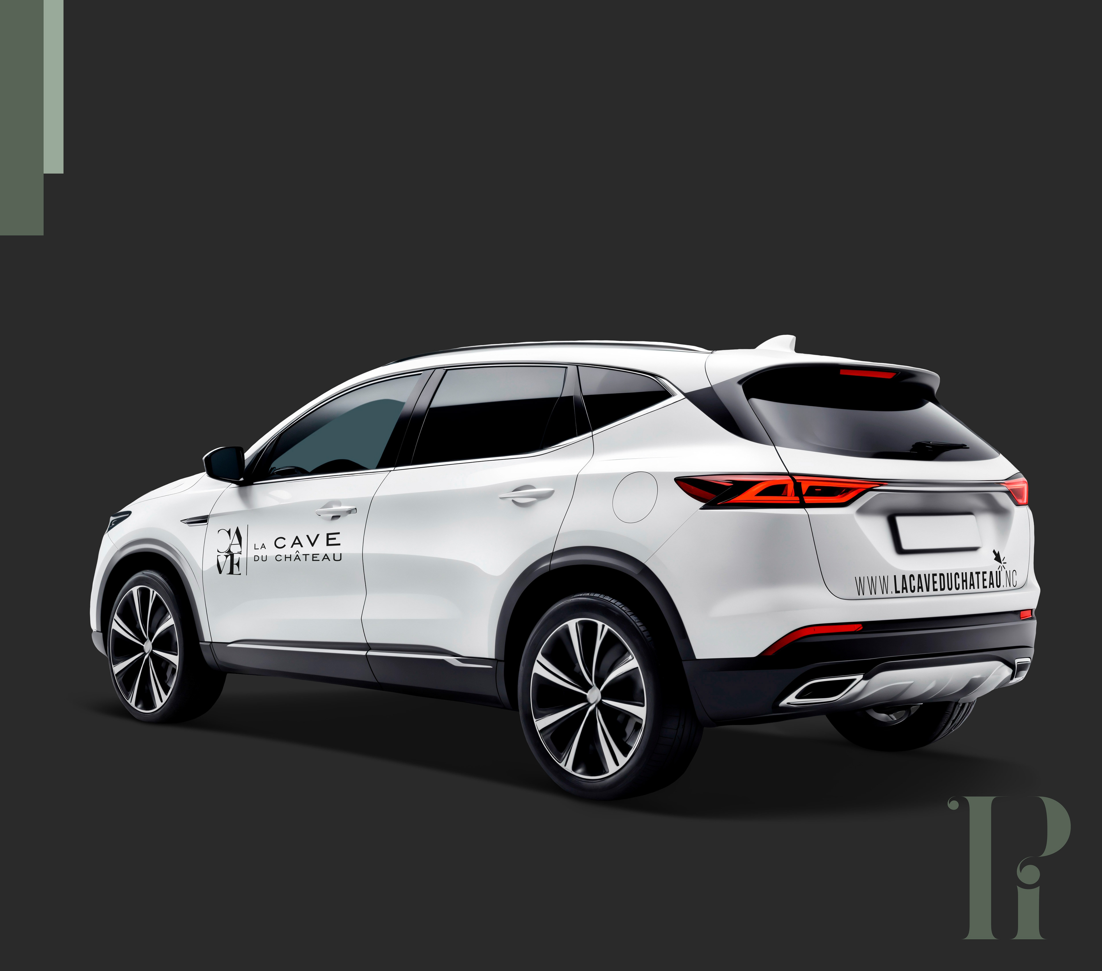 Habillage de véhicule