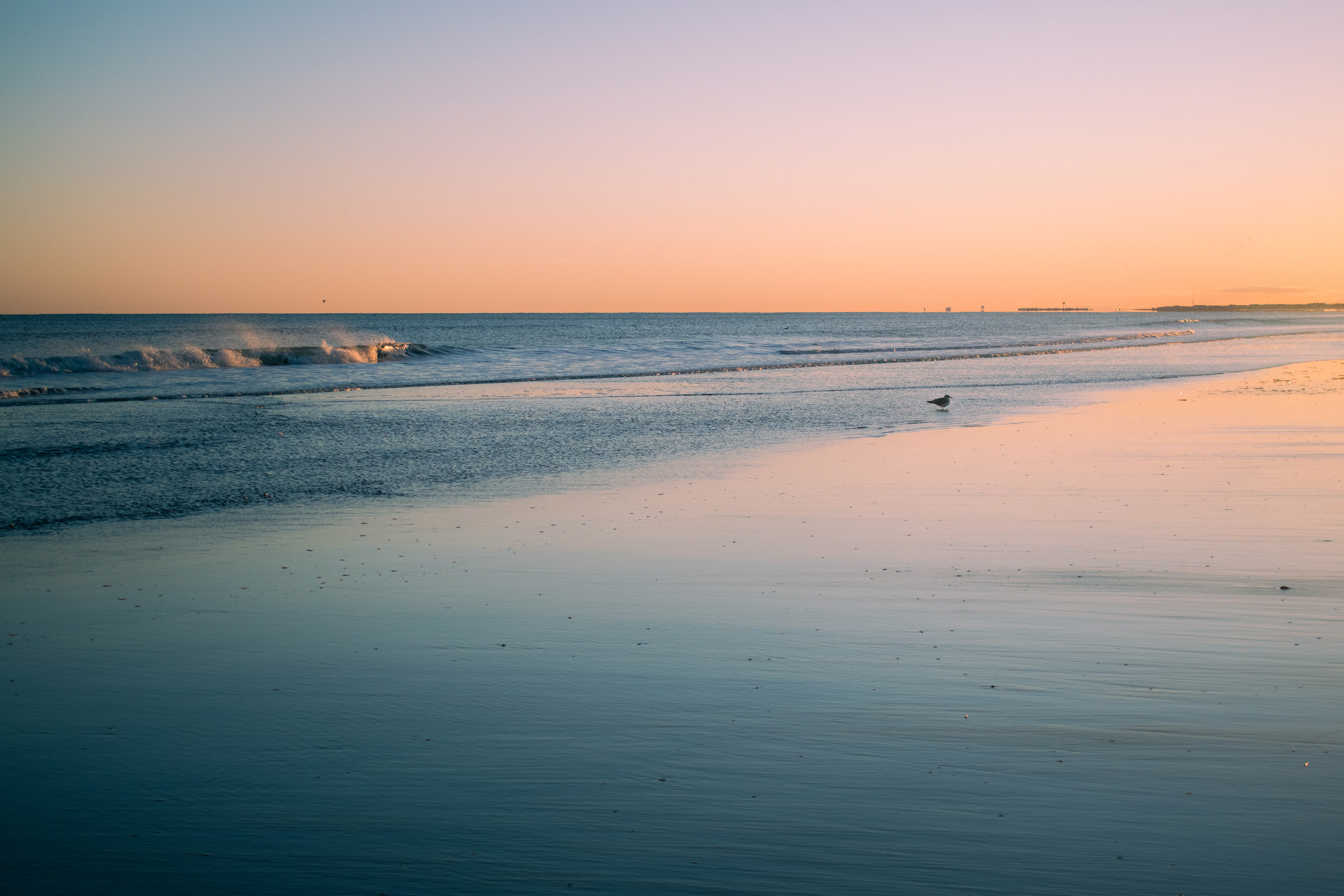 Ocean City 2024