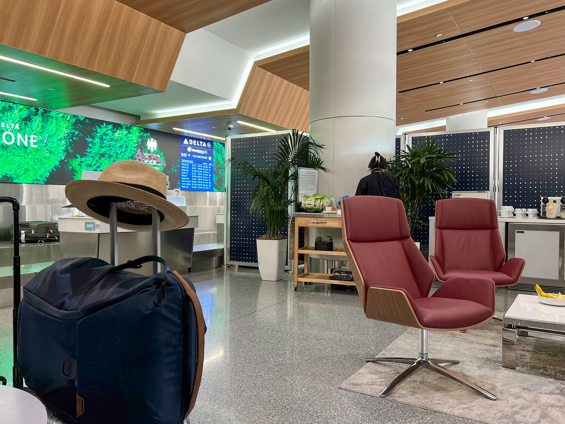Delta One check-in at LAX