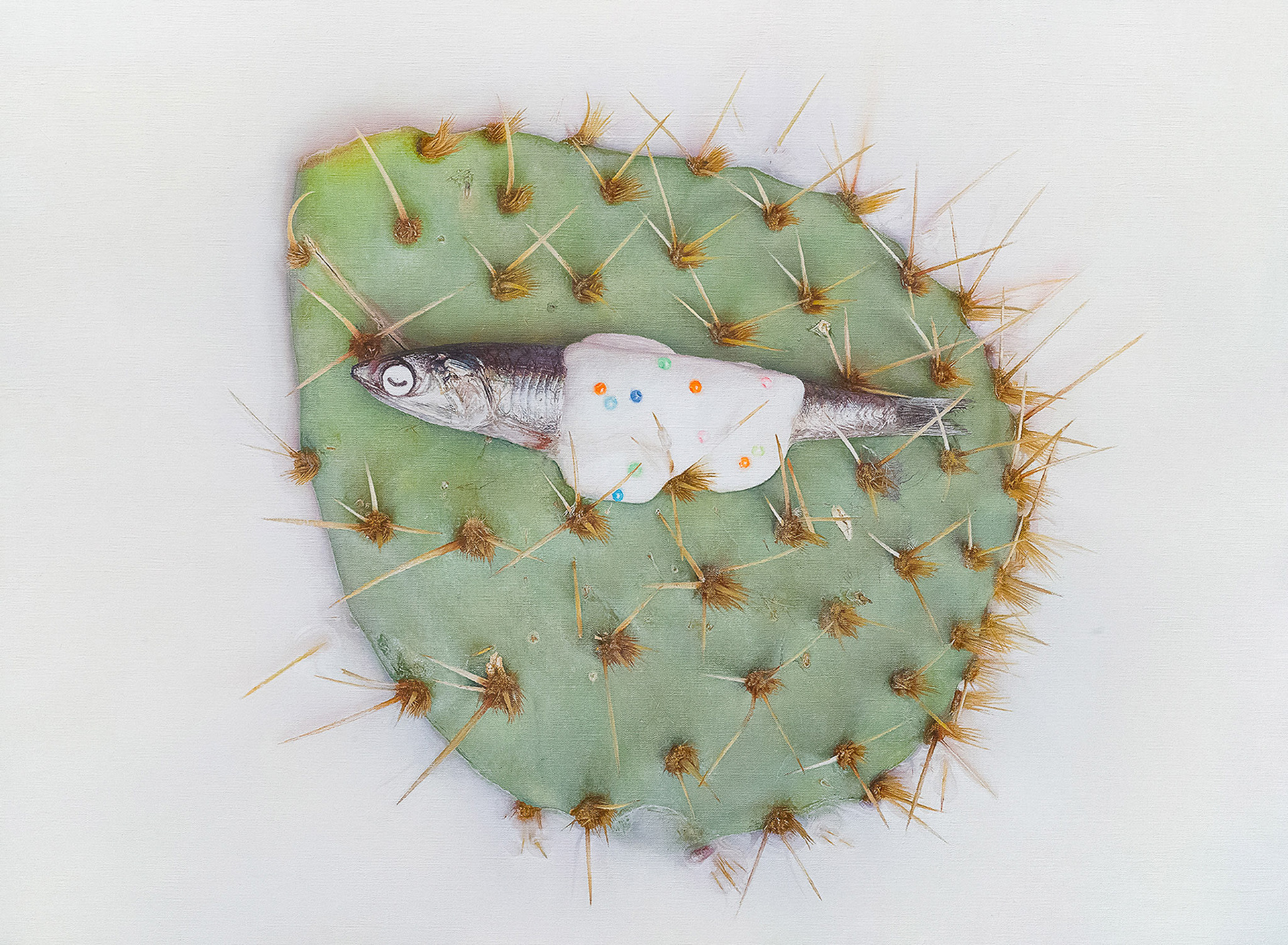 Oil on canvas 54x73cm.