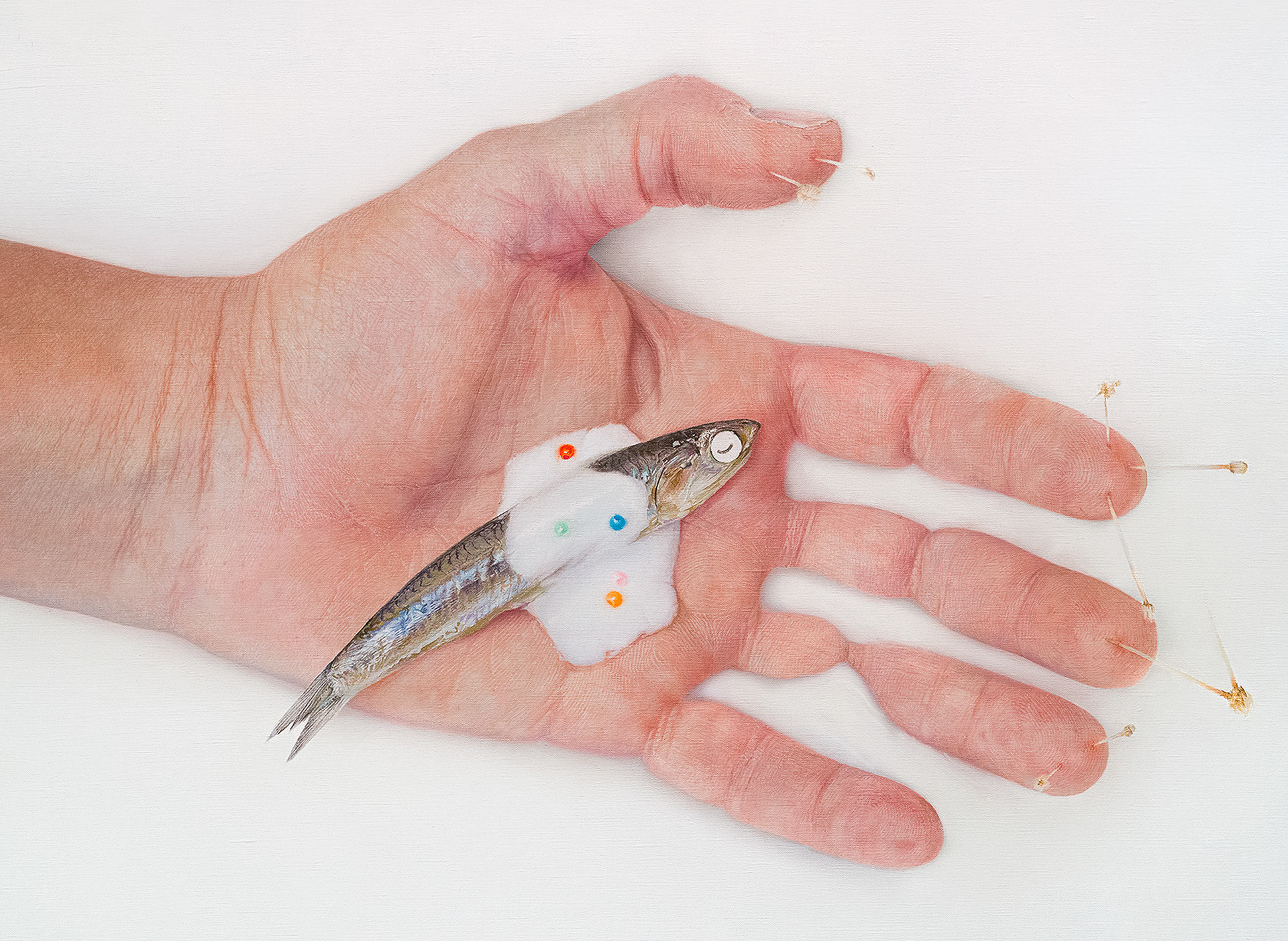 Oil on canvas. 54x73cm.