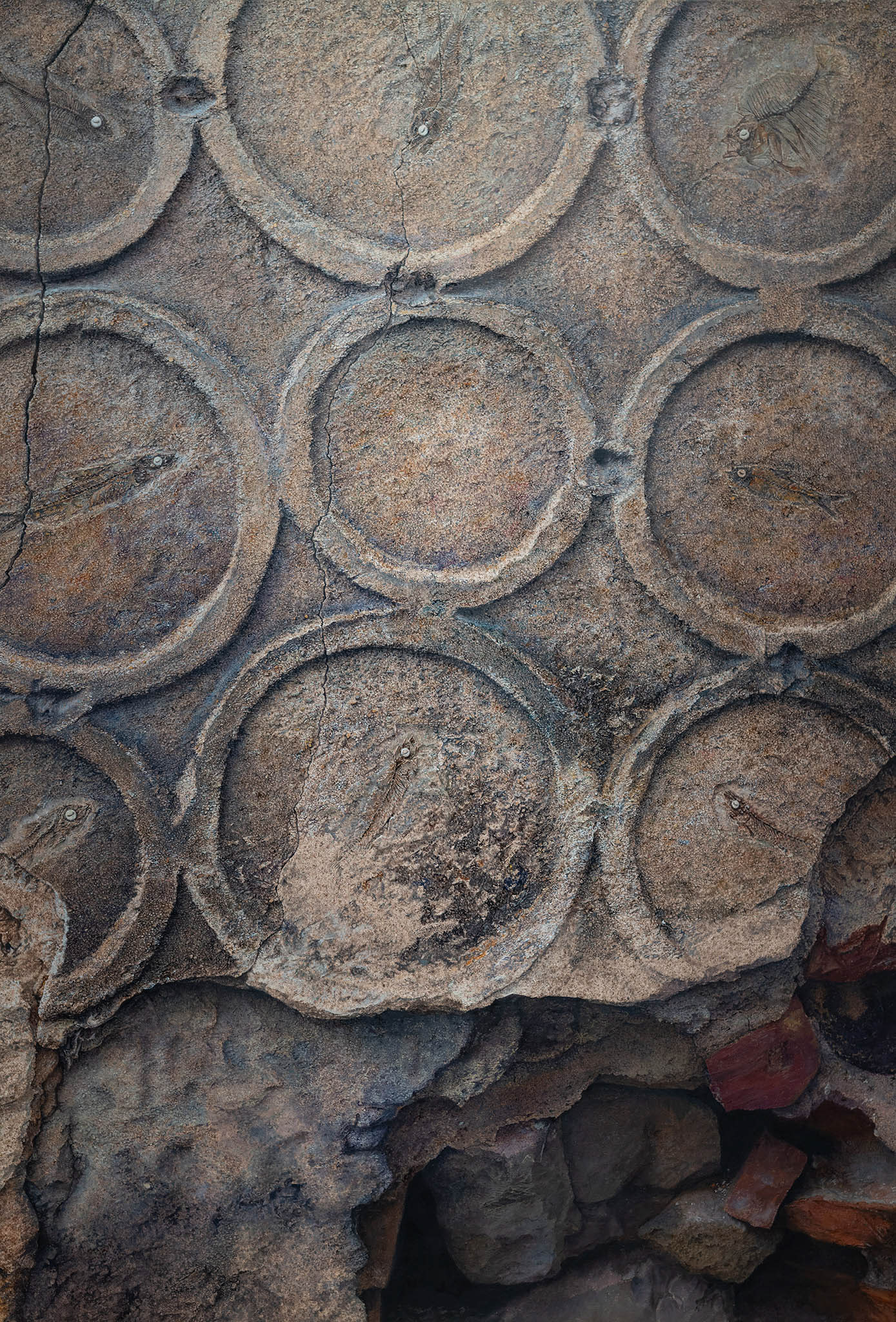 Oil on linen 89x130cm.