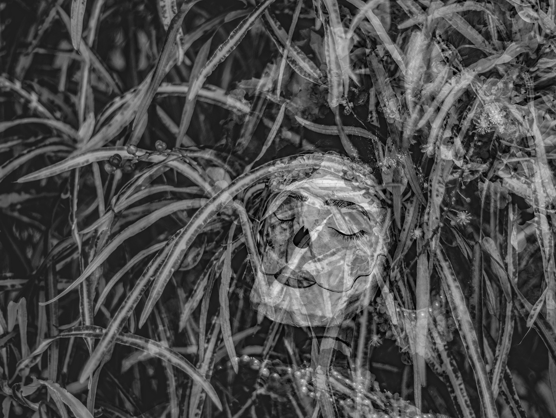 JARDÍN DEL INCONSCIENTE